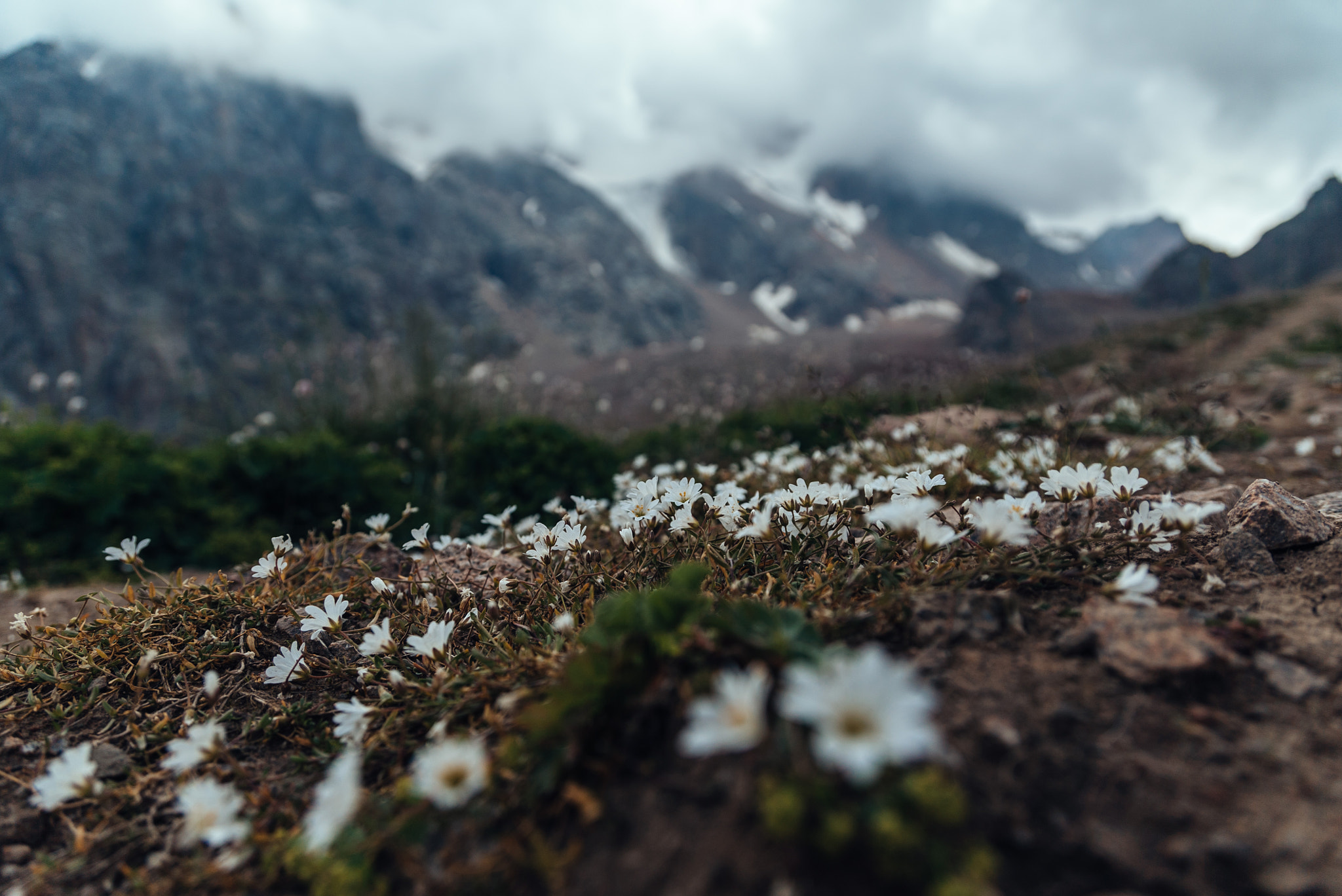 Sony a7S + Sony 70-400mm F4-5.6 G SSM sample photo. Mountains near almaty photography