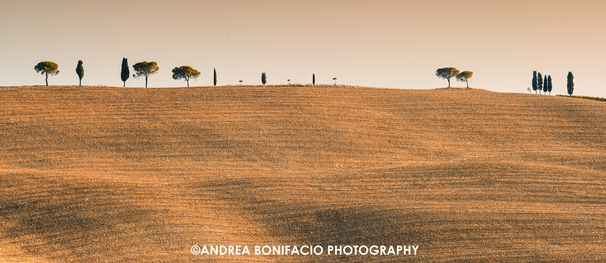 Sigma 70-200mm F2.8 EX DG Macro HSM II sample photo. Val d'orcia photography
