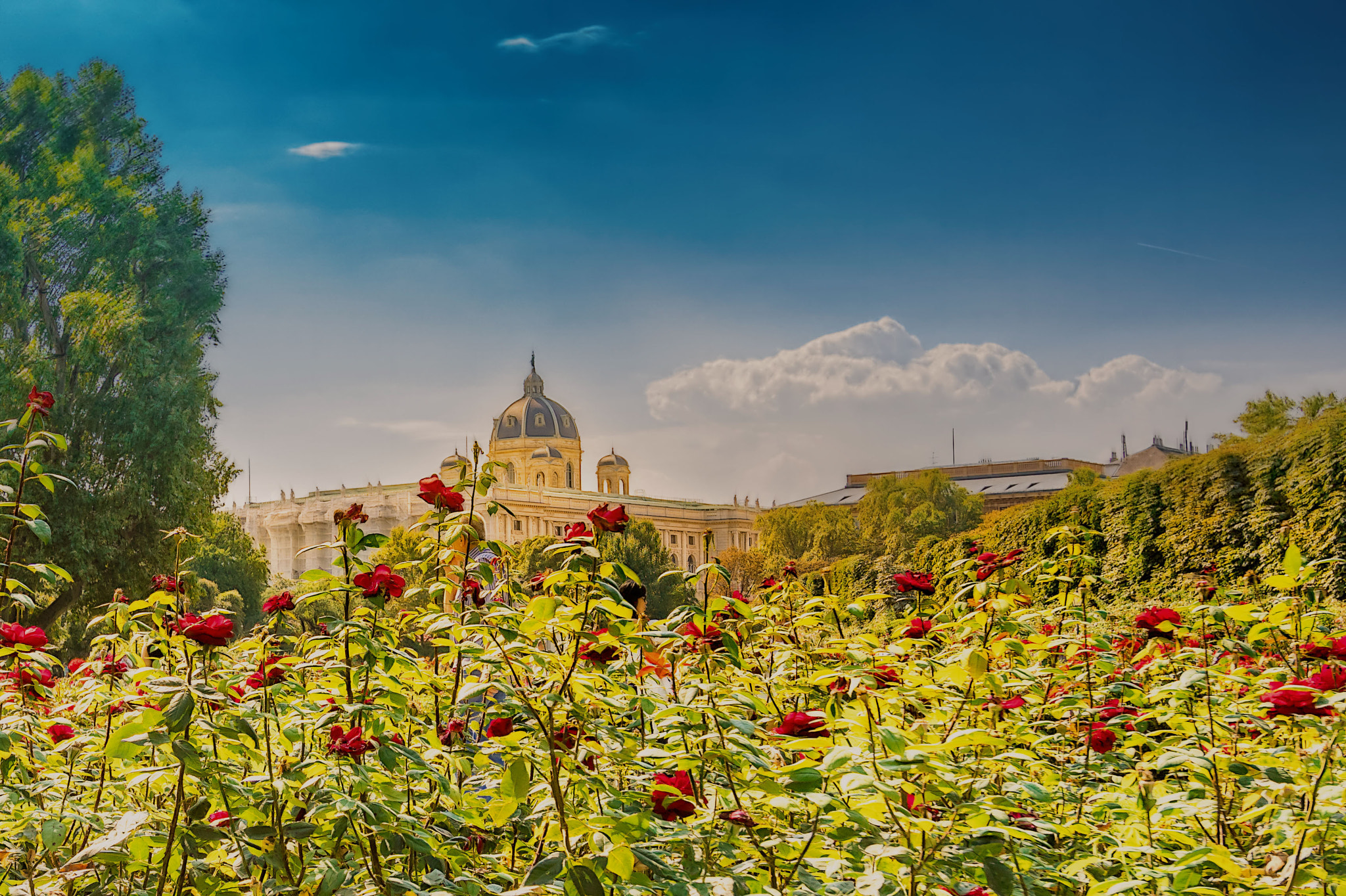 Sony a6300 + Tamron 18-270mm F3.5-6.3 Di II PZD sample photo. Burggarten vienna photography