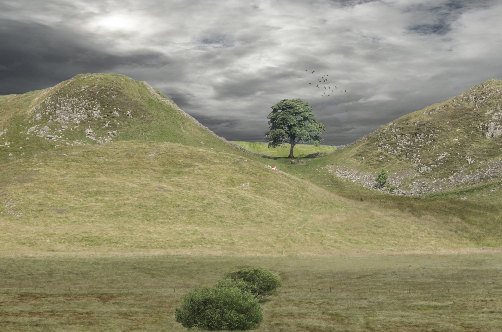 Nikon AF-S Nikkor 24-70mm F2.8E ED VR sample photo. Sycamore gap northumberland photography