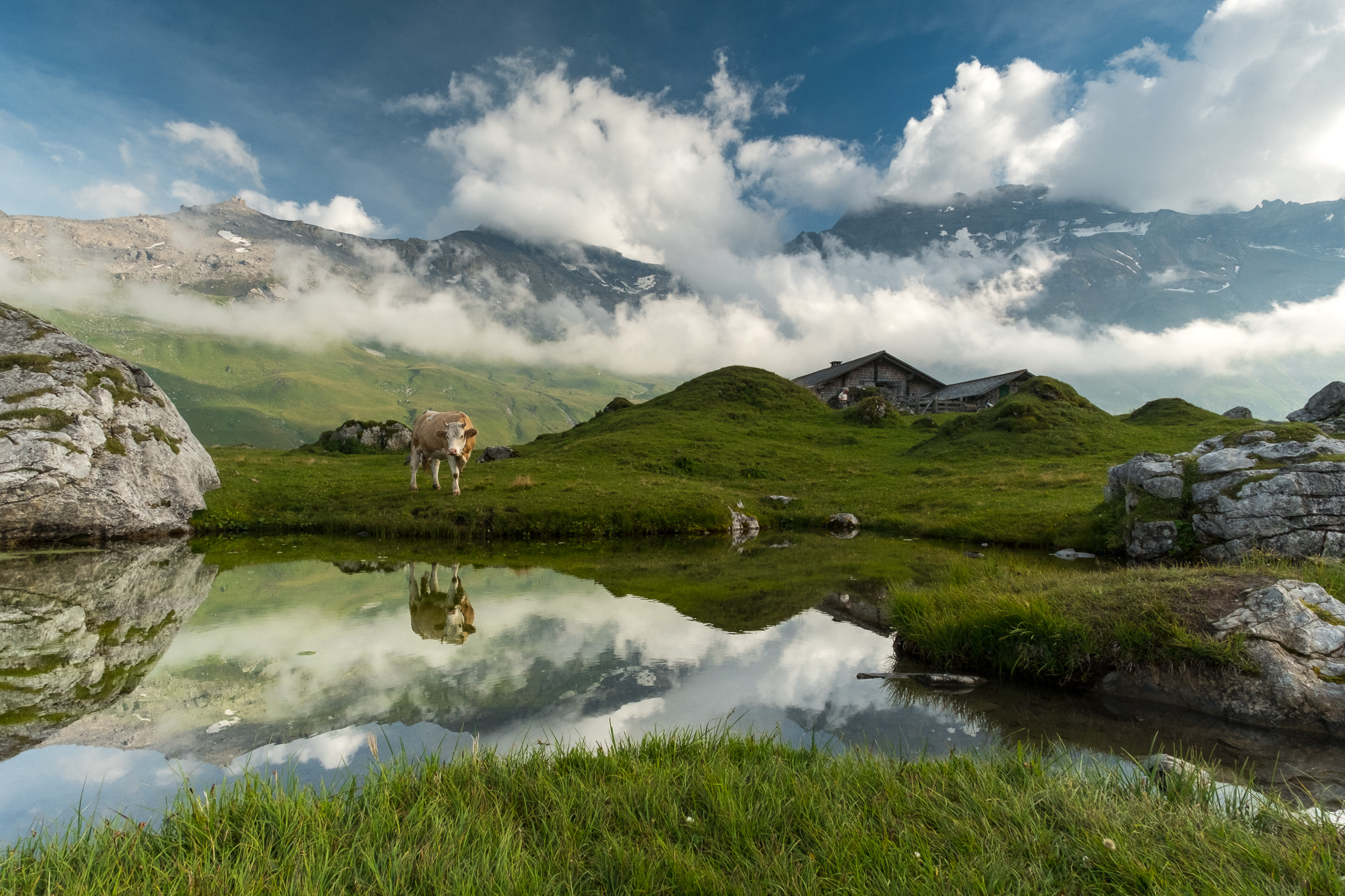 Fujifilm X-Pro2 + ZEISS Touit 12mm F2.8 sample photo. Schweizer alpidylle photography