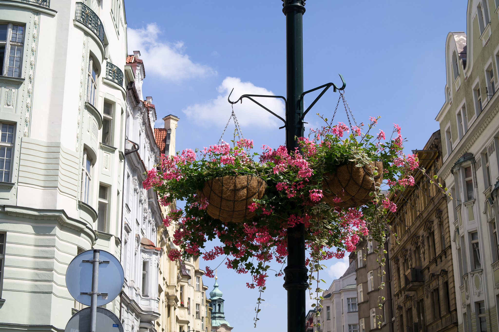 Samsung NX10 sample photo. Flowers photography