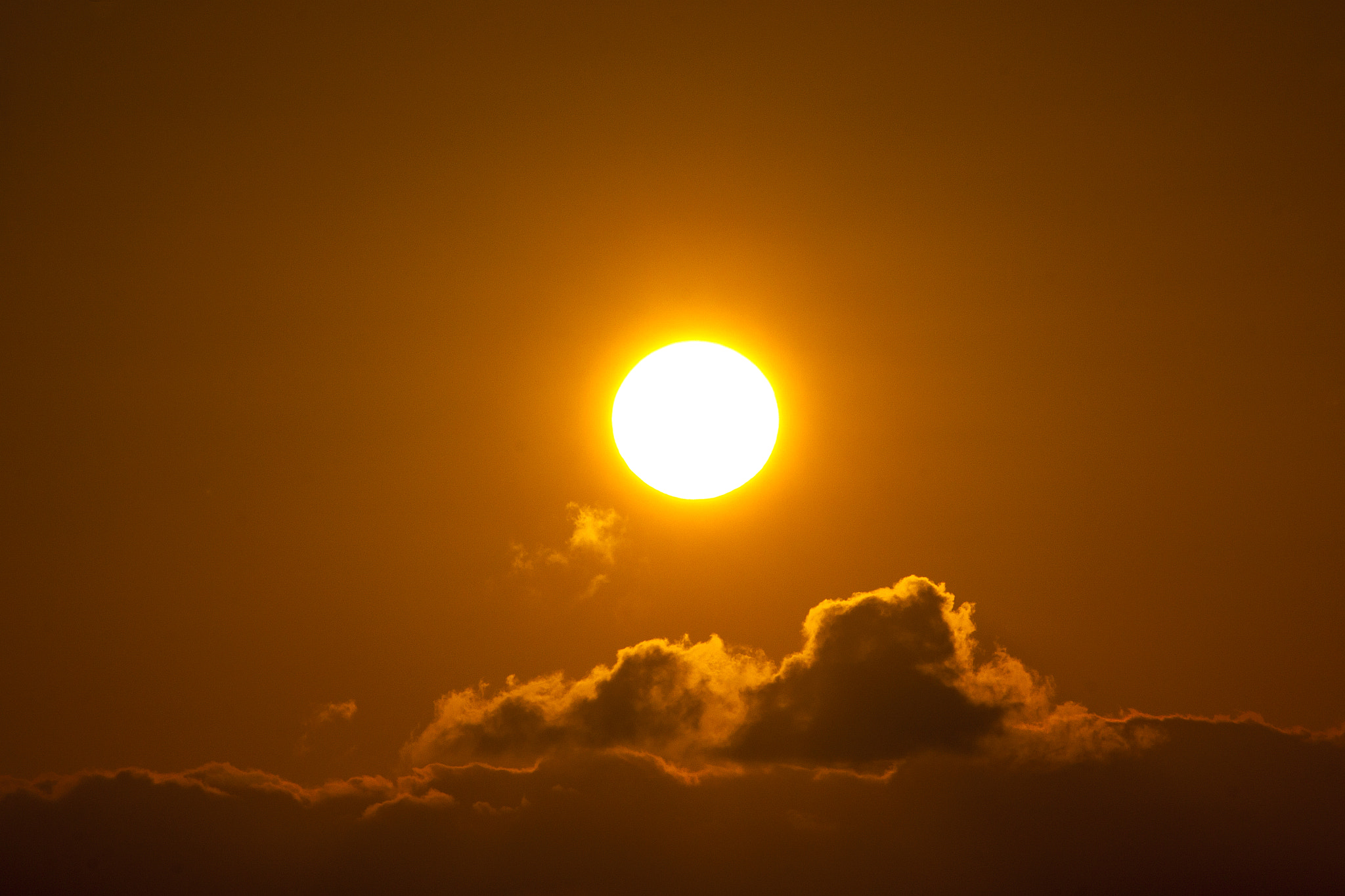 Sigma 70-300mm F4-5.6 APO DG Macro sample photo. Amaneciendo en carrizal photography