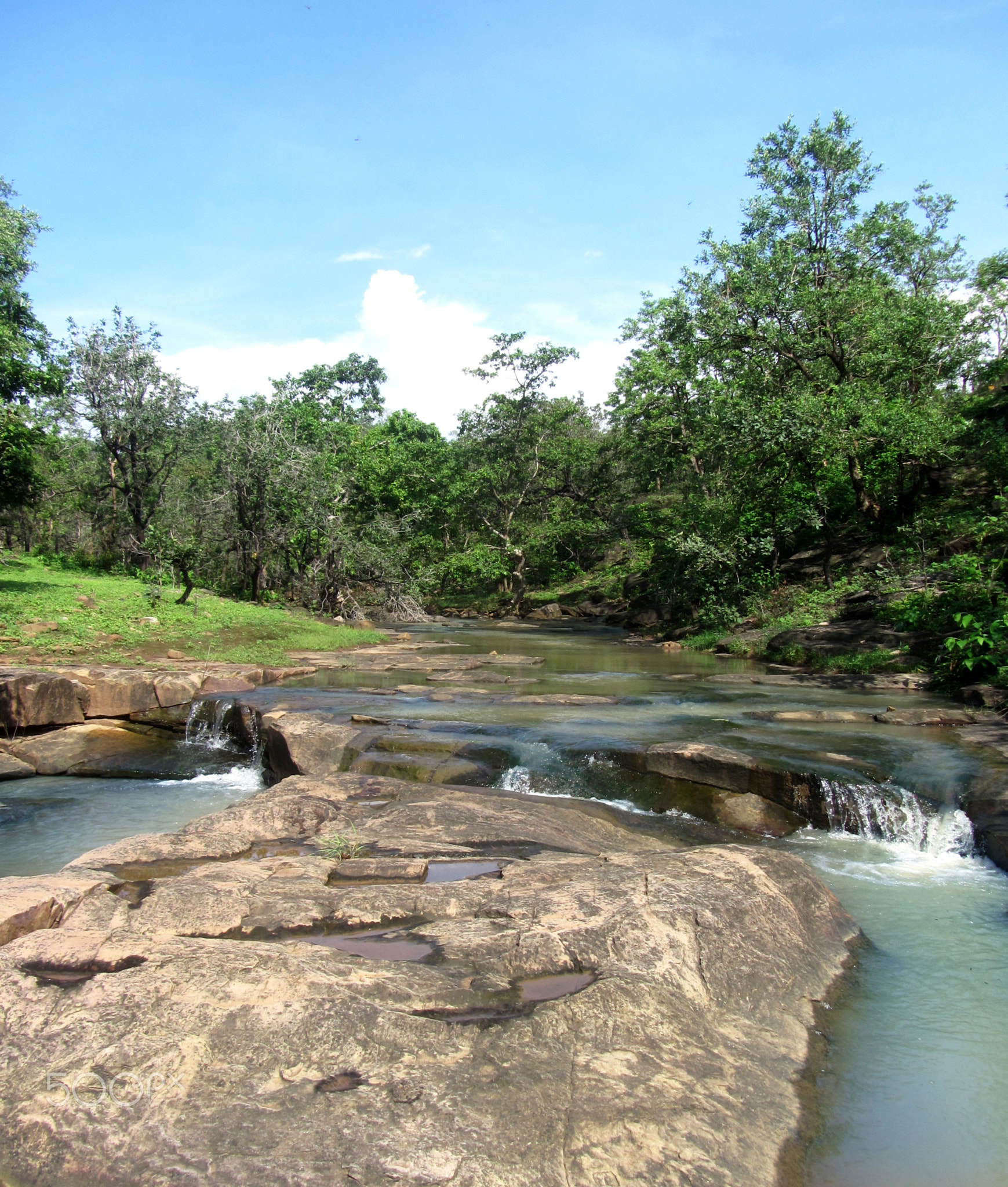 Awesome Nature, water creeks in tropical forest.