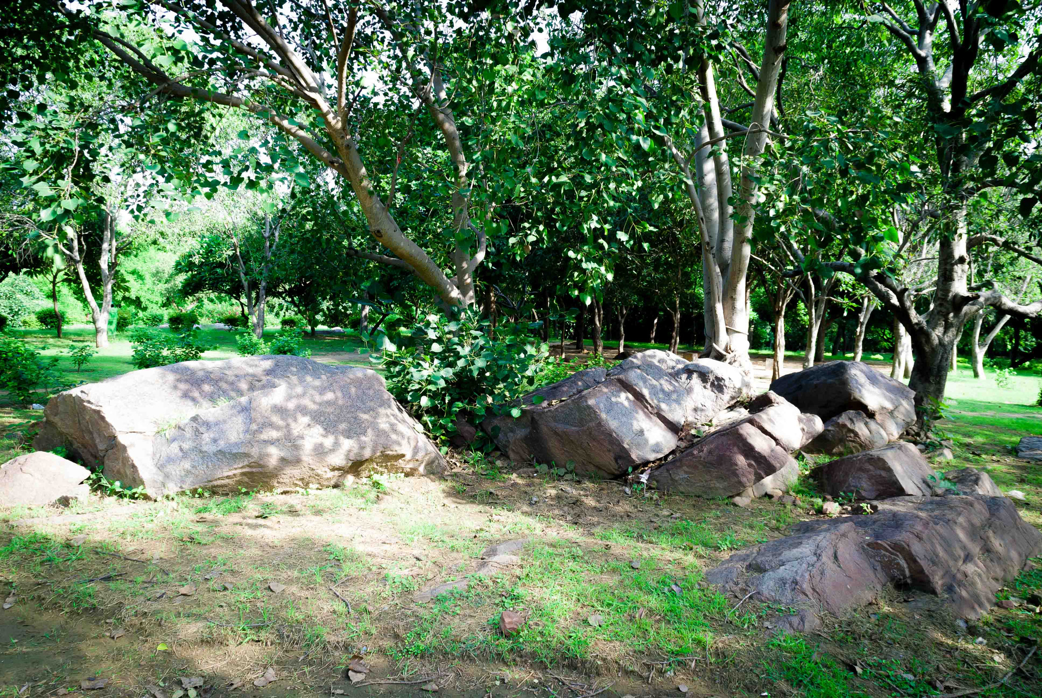 Nikon D3000 sample photo. Nature photography