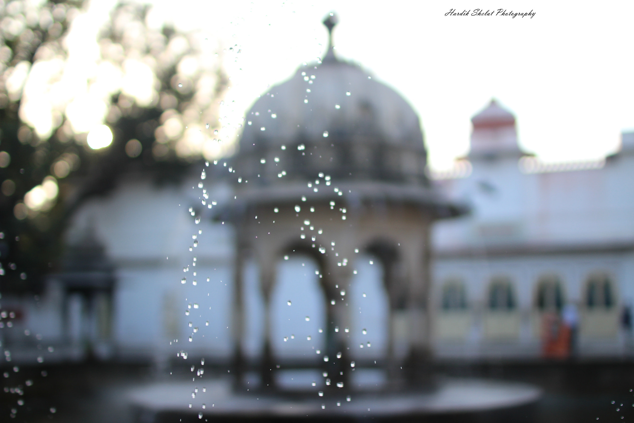 Sigma 30mm F1.4 EX DC HSM sample photo. Very beautiful place to explore:saheliyon ki bari,udaipur,rajasthan photography