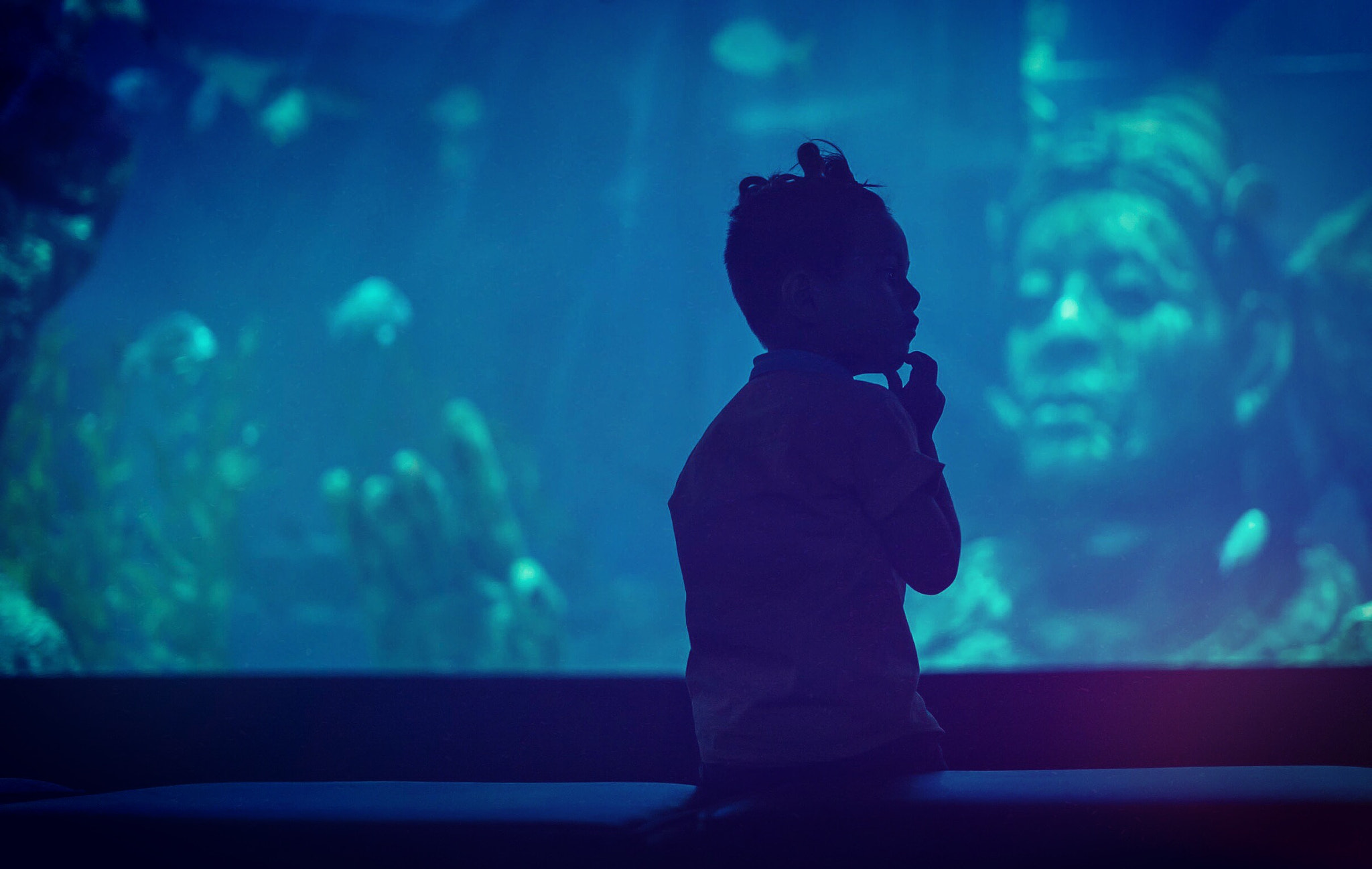 Sony a7S II + Sony FE 50mm F1.8 sample photo. Deep thought at the bangkok aquarium. photography