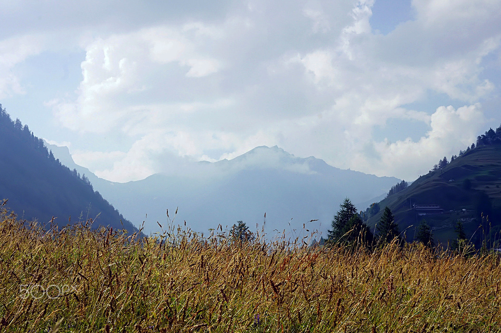 Minolta AF 50mm F3.5 Macro sample photo. La montagne en ete photography