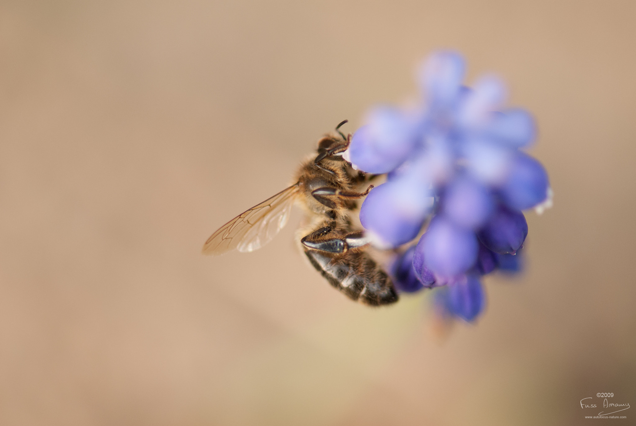Nikon D200 sample photo. Work hard photography