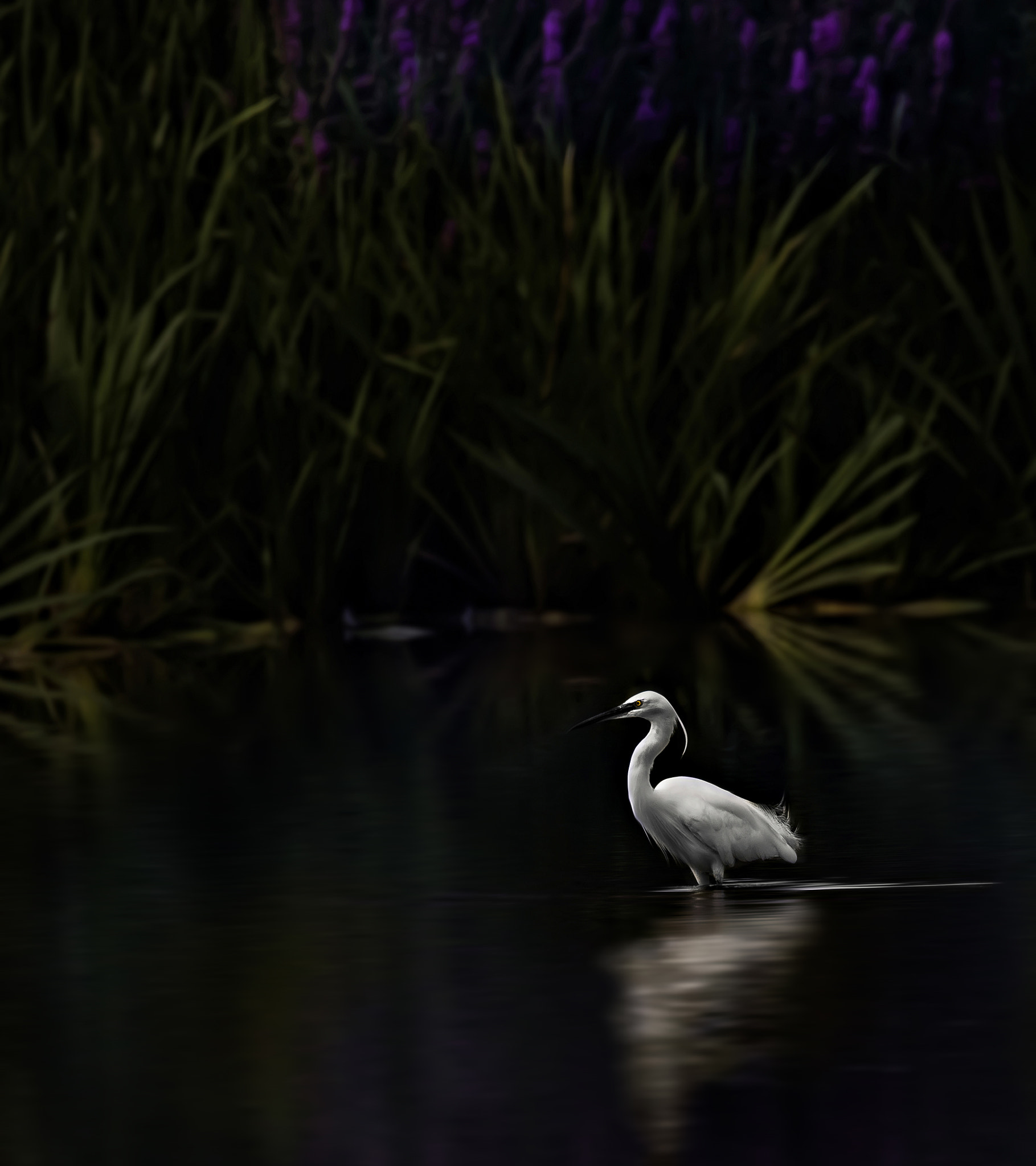 Canon EOS 5DS R sample photo. Just landed.... photography