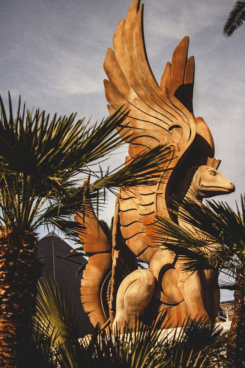 Canon EF 35-135mm f/4-5.6 USM sample photo. Las vegas photography