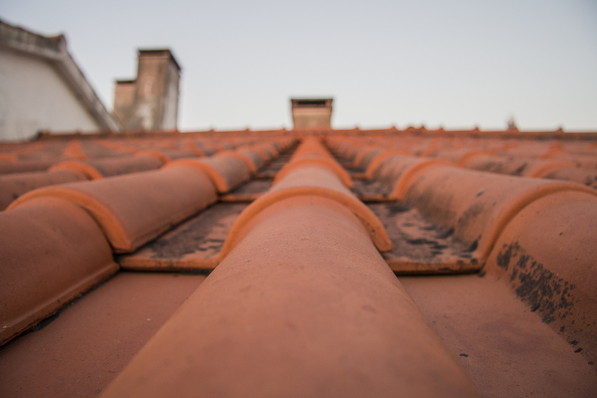 Canon EF-S 17-85mm F4-5.6 IS USM sample photo. Roof photography