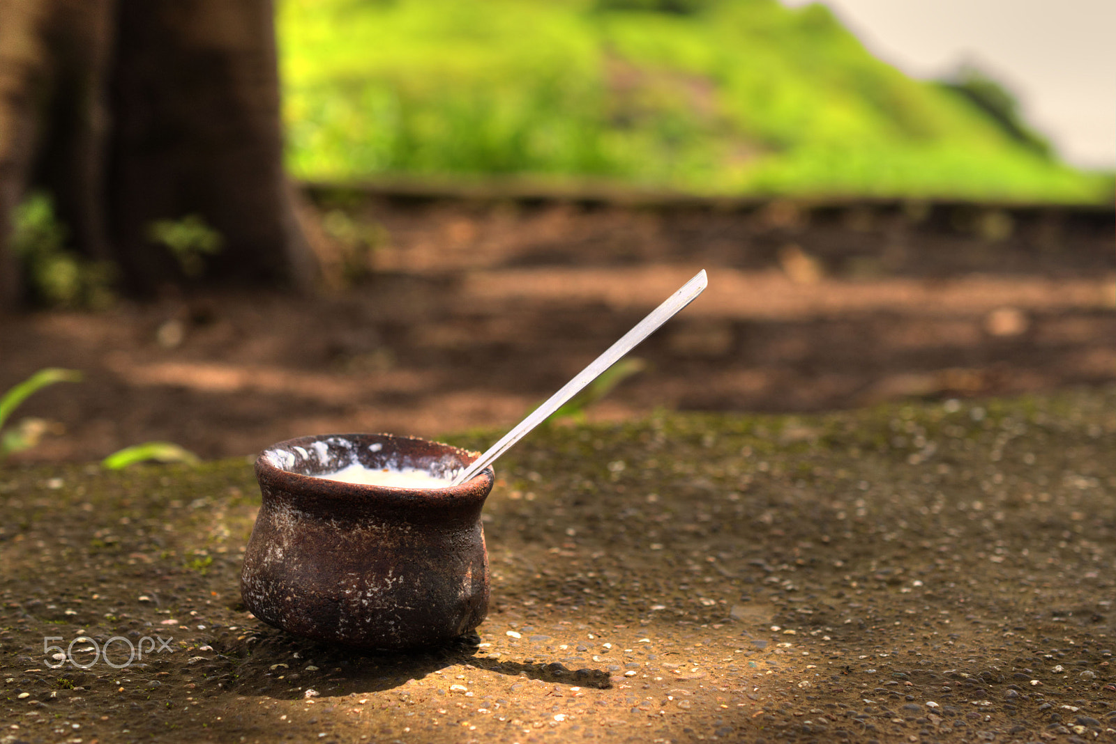 Nikon AF-S DX Micro Nikkor 40mm F2.8 sample photo. A clay cup full of curd or yogurt with rocksalt photography