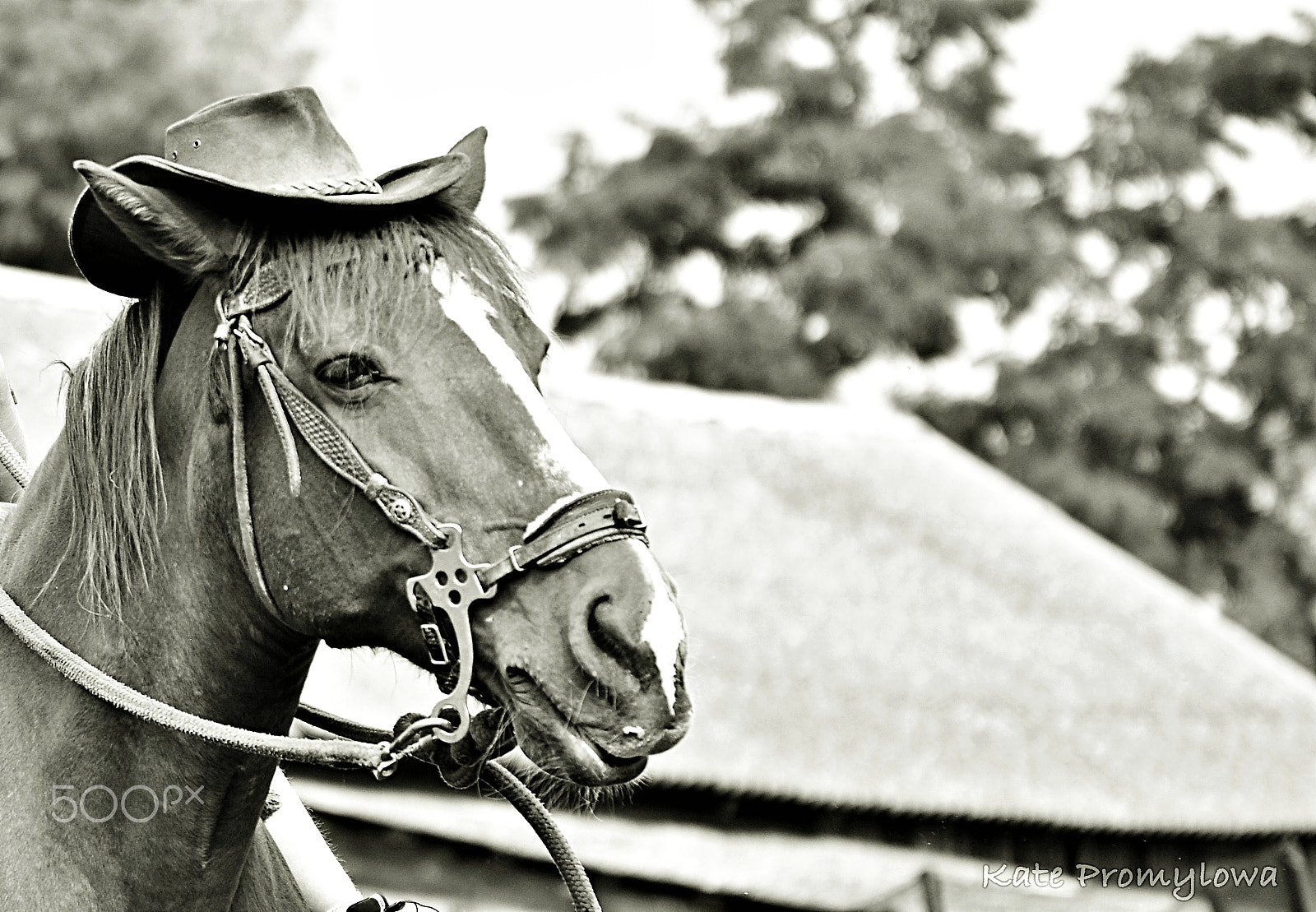 Sigma 70-200mm F2.8 EX DG OS HSM sample photo. My love ;) photography