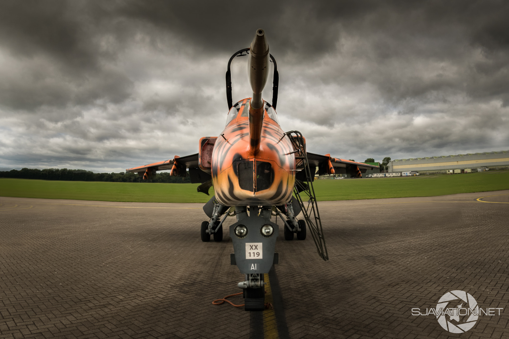 Nikon D810 + Samyang 12mm F2.8 ED AS NCS Fisheye sample photo. " cosford cat" photography