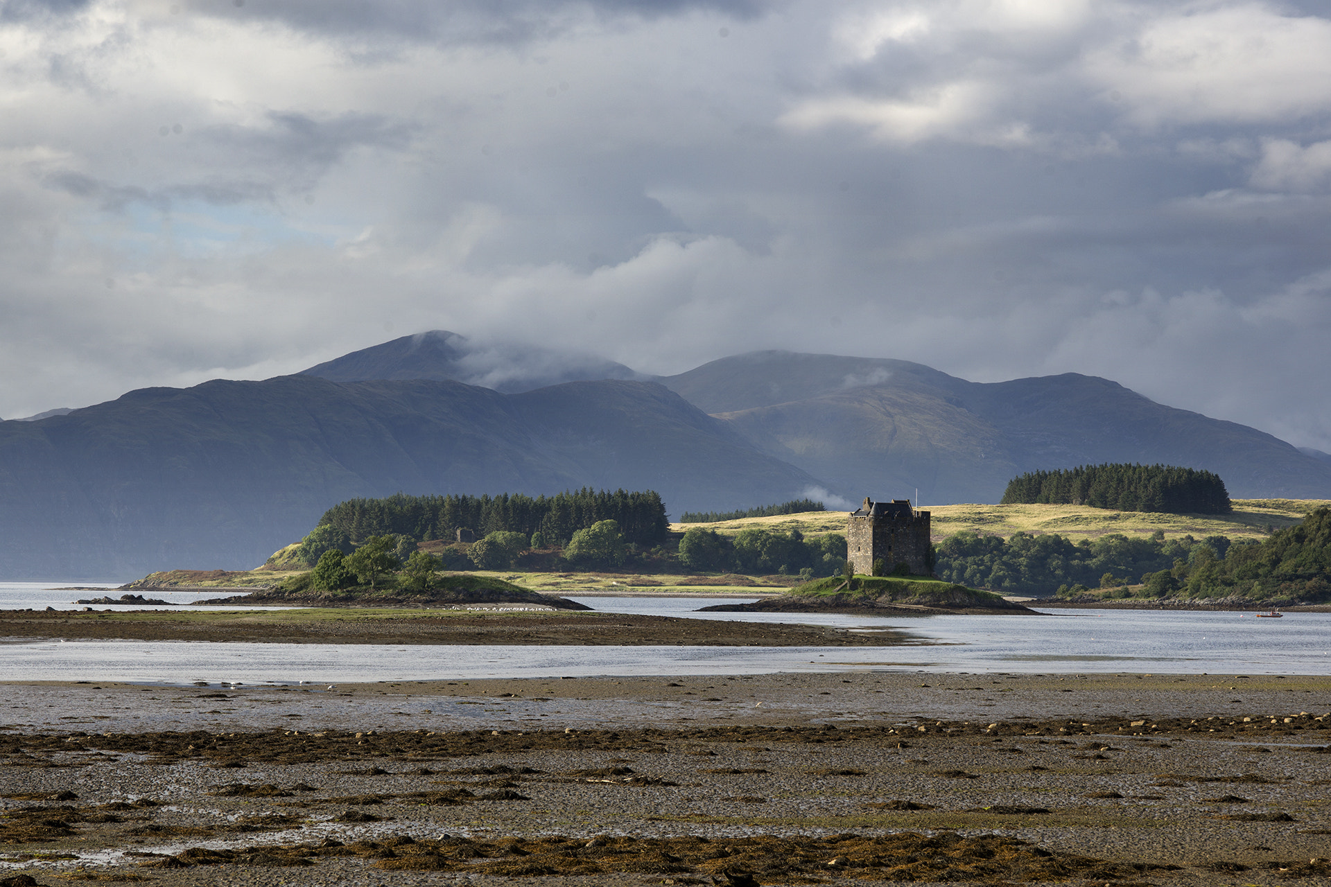 ZEISS Makro-Planar T* 100mm F2 sample photo. Castle stalker photography