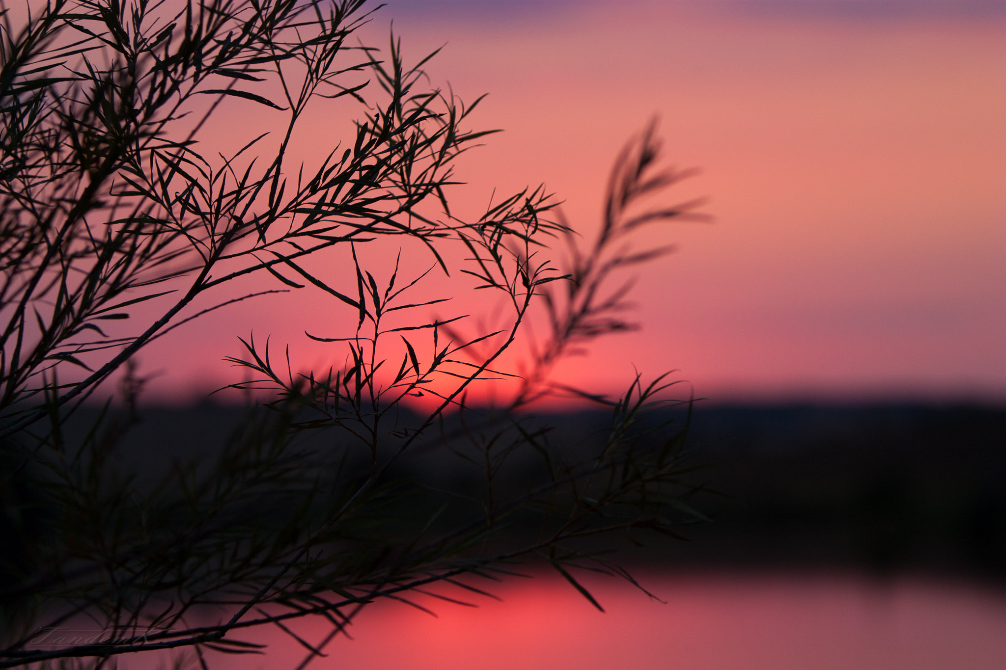 Canon EF 70-200mm F2.8L IS USM sample photo. Road to the sunset photography