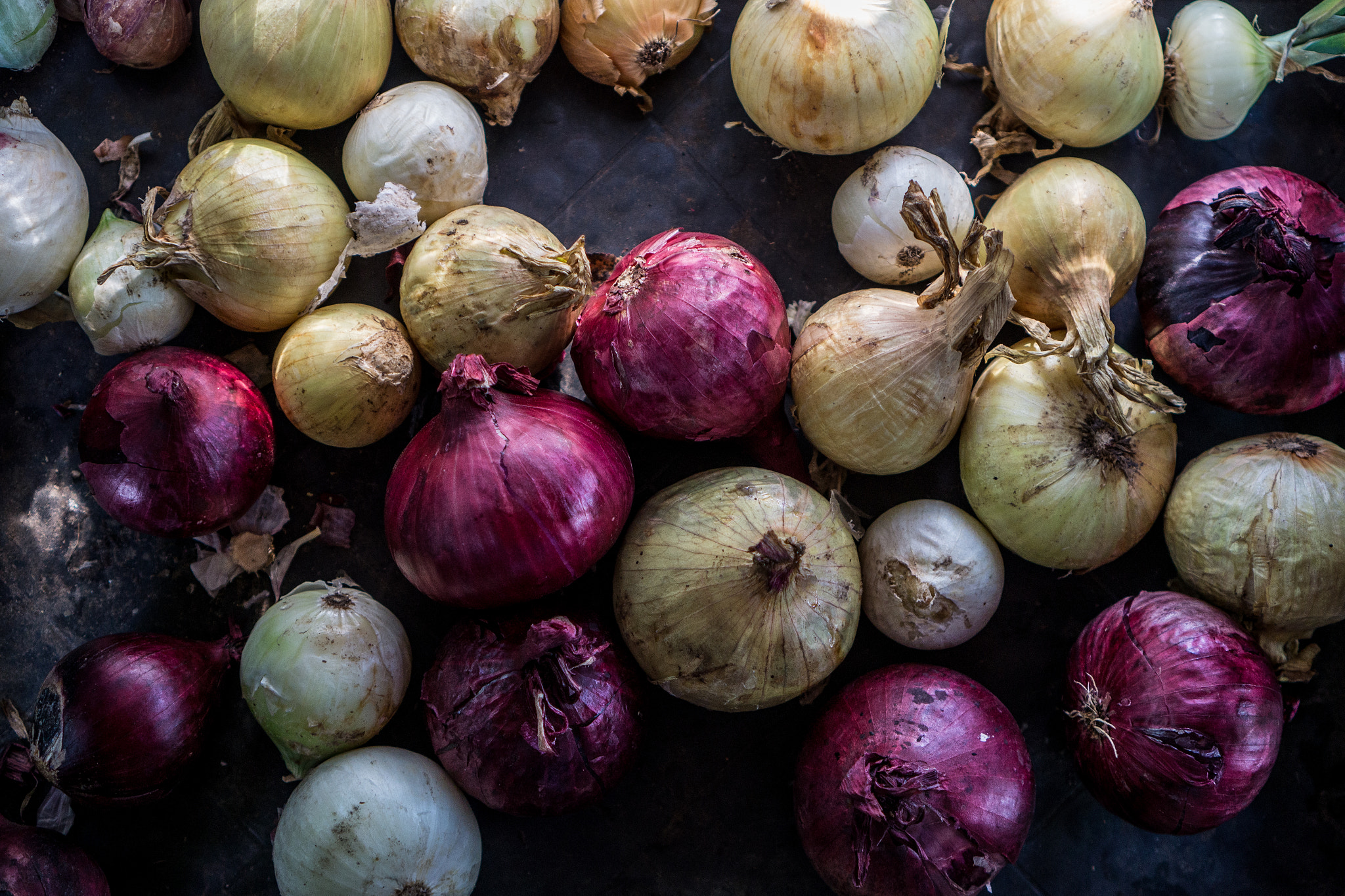 Sony E 35mm F1.8 OSS sample photo. Onions photography