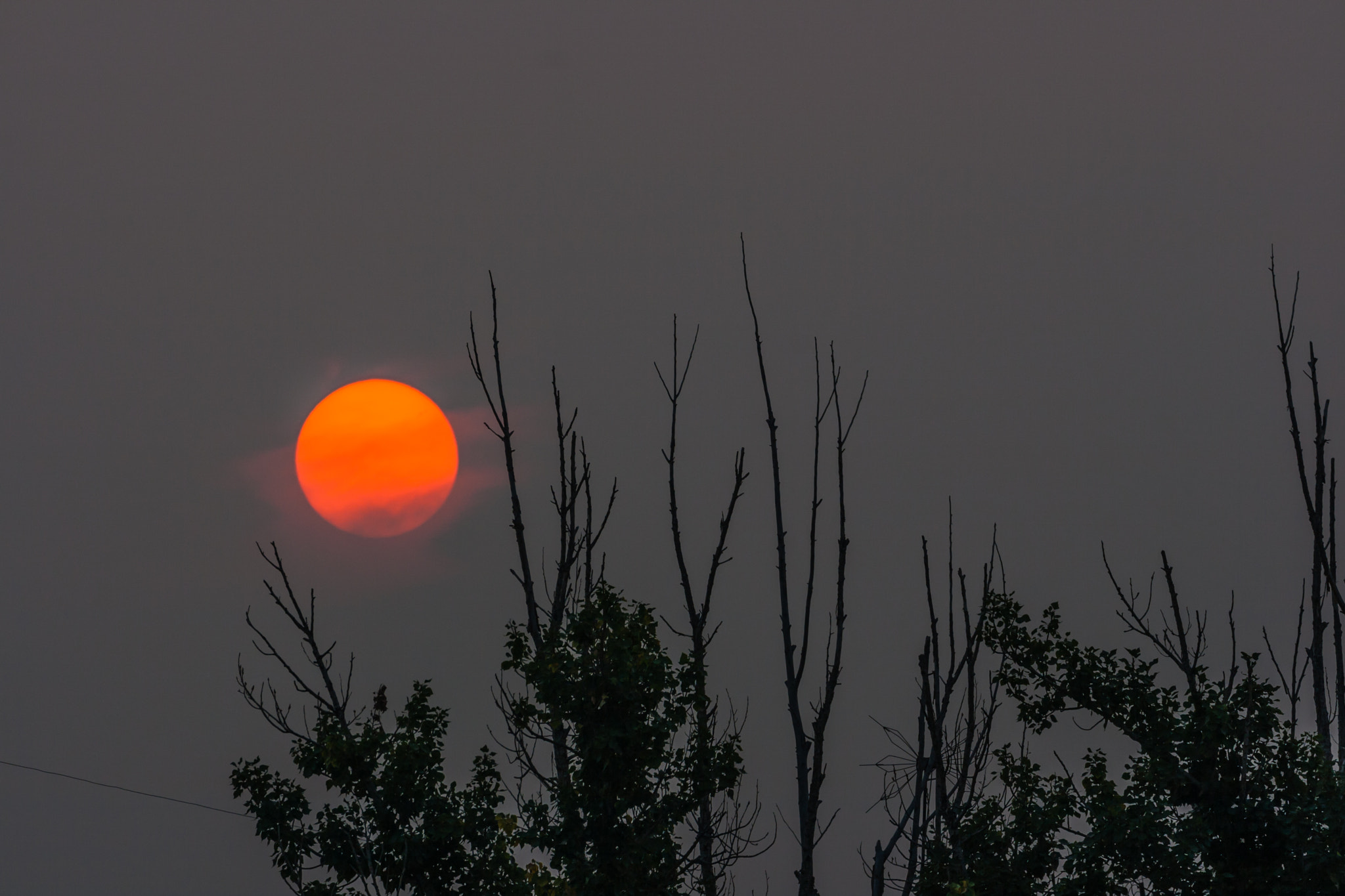 Canon EF 70-300mm F4-5.6L IS USM sample photo. The solar disk photography