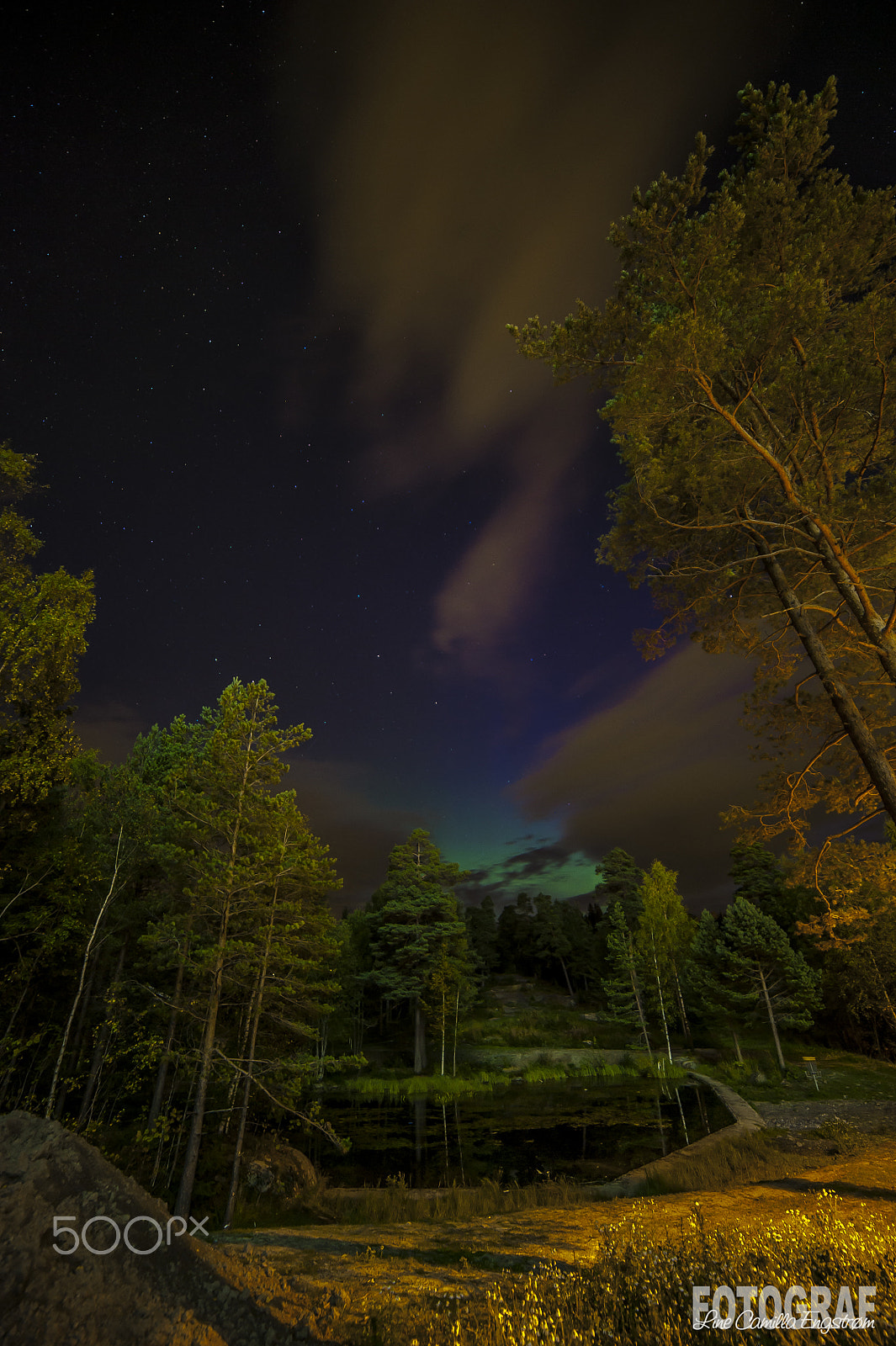 Nikon D3 sample photo. Holmenkollen, oslo - 01.09.16 photography