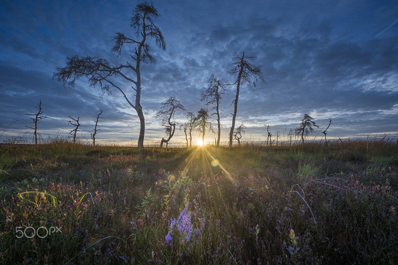 Nikon D7100 + Sigma 8-16mm F4.5-5.6 DC HSM sample photo. - colors - photography