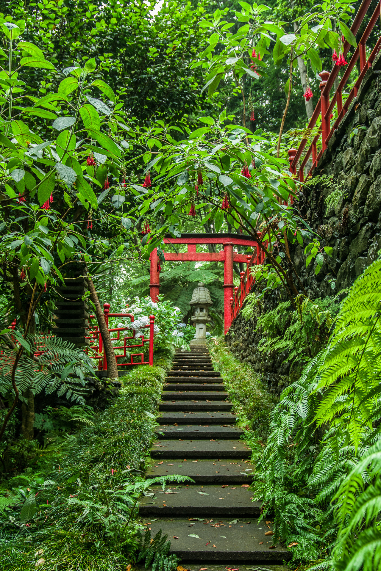 Pentax smc DA* 16-50mm F2.8 ED AL (IF) SDM sample photo. Monte tropical gardens photography