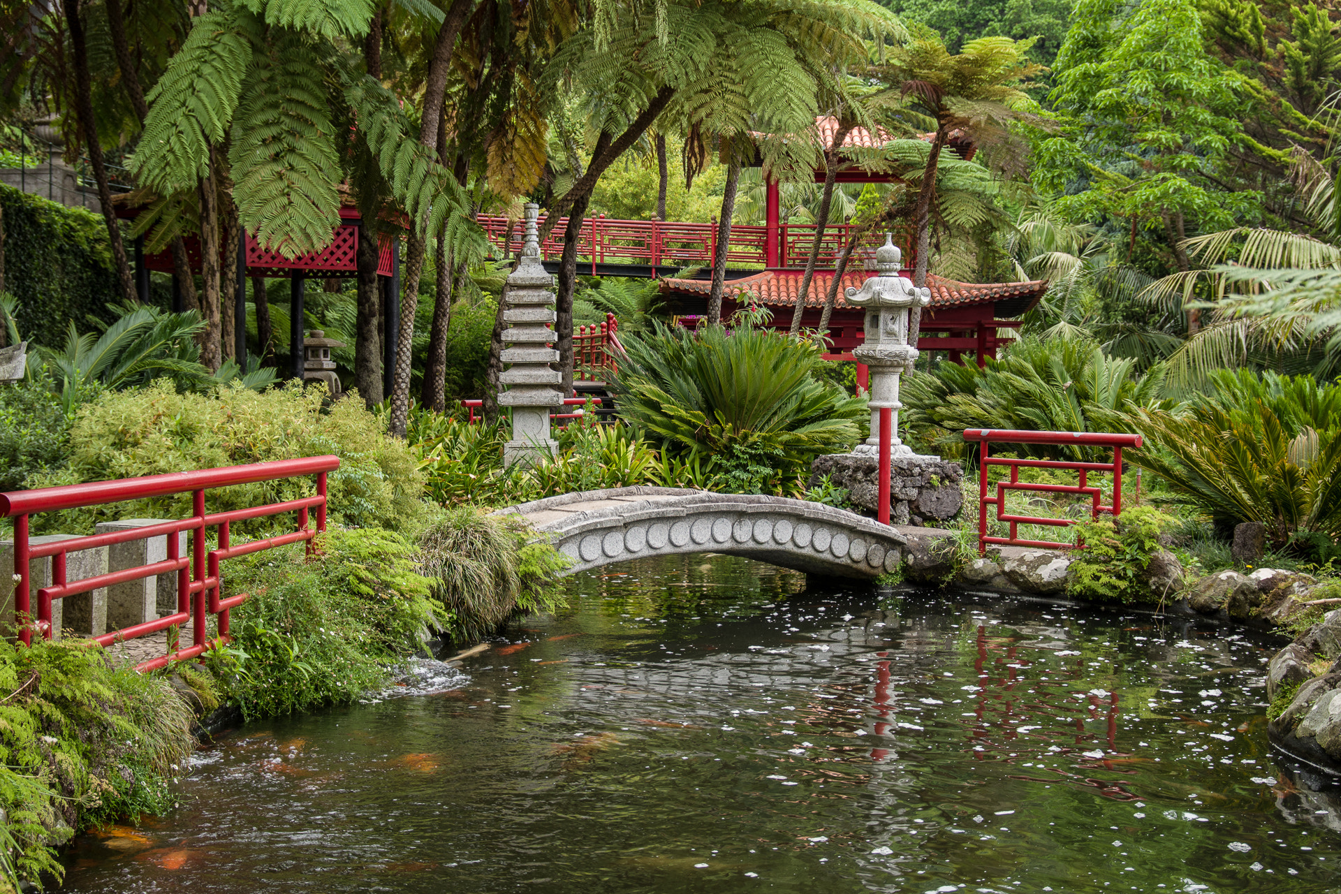 Pentax smc DA* 16-50mm F2.8 ED AL (IF) SDM sample photo. Monte tropical gardens photography