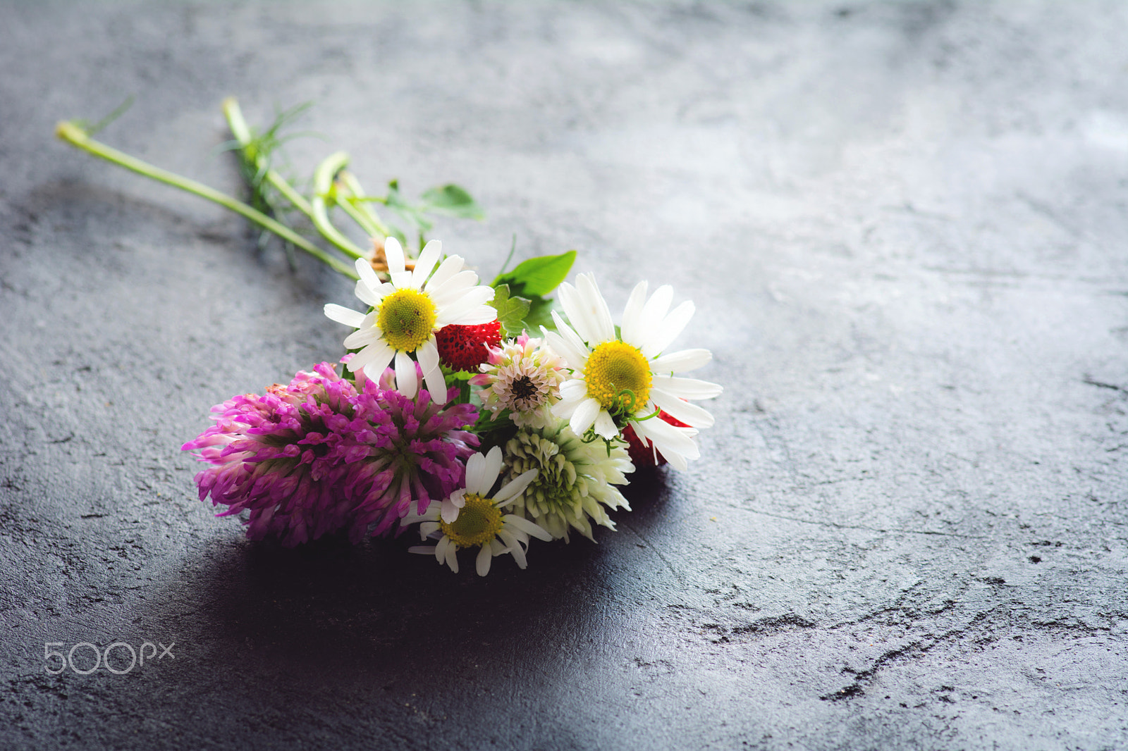 Tokina AT-X Pro 100mm F2.8 Macro sample photo. Flowers photography
