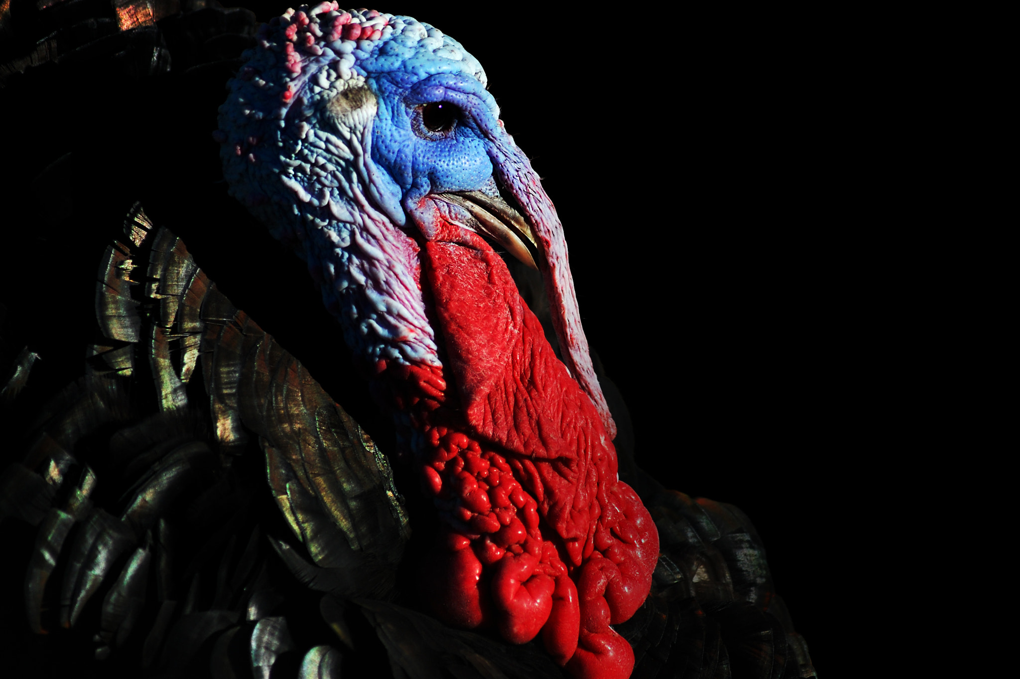 Nikon D40 sample photo. Turkey photography