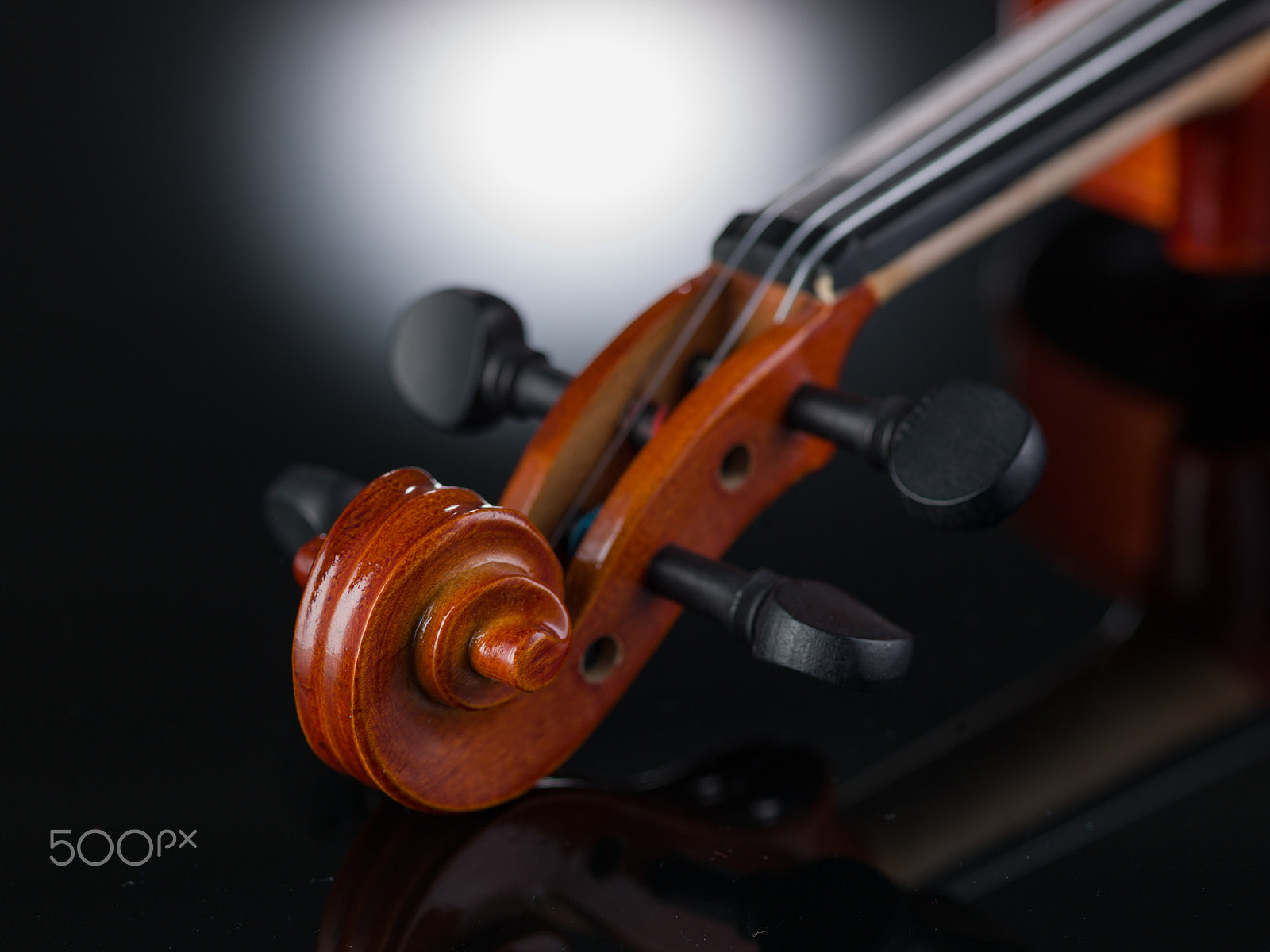 HC 120 sample photo. Violin photography