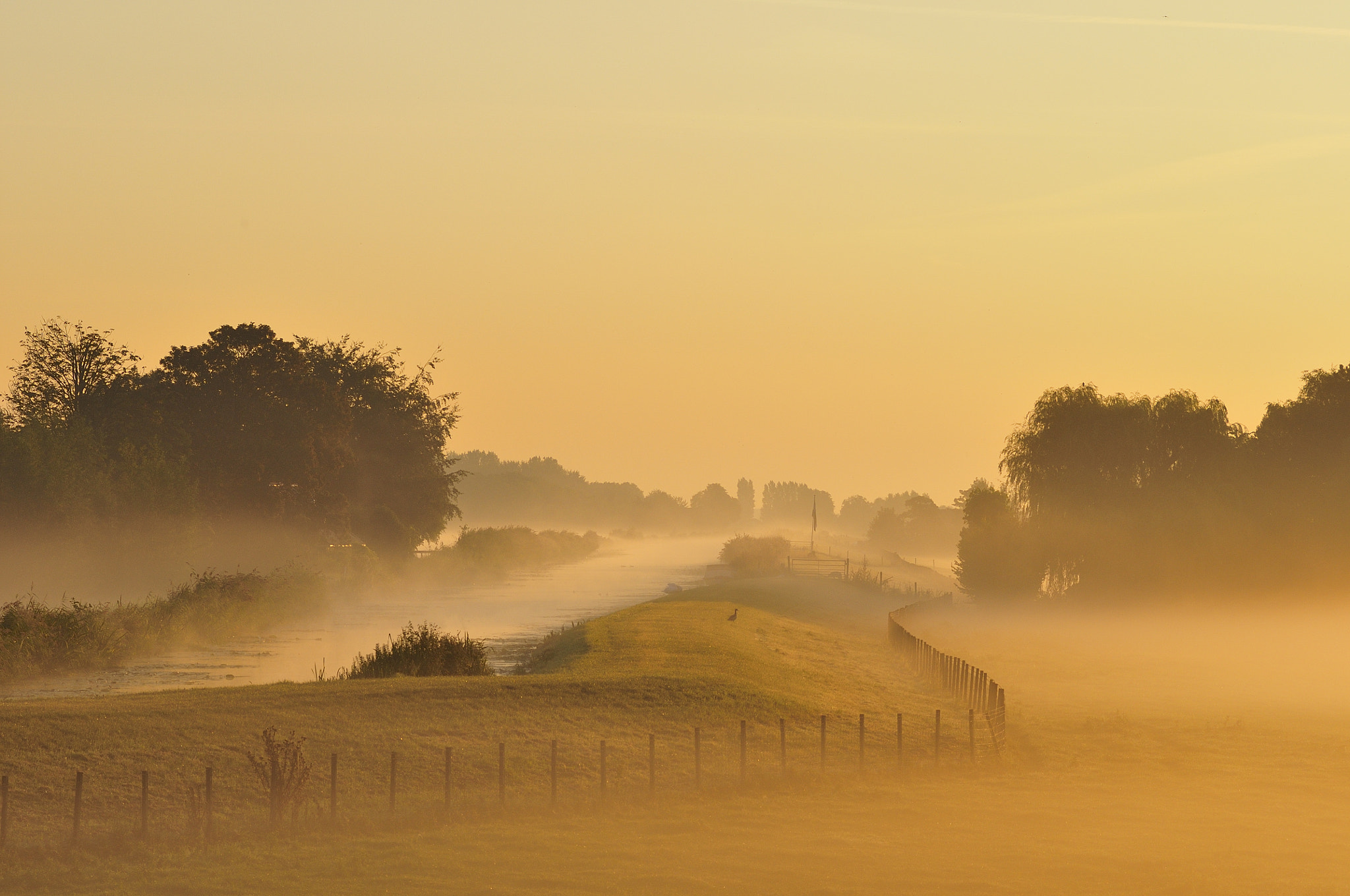 AF Zoom-Nikkor 80-200mm f/2.8 ED sample photo. Foggy morning photography