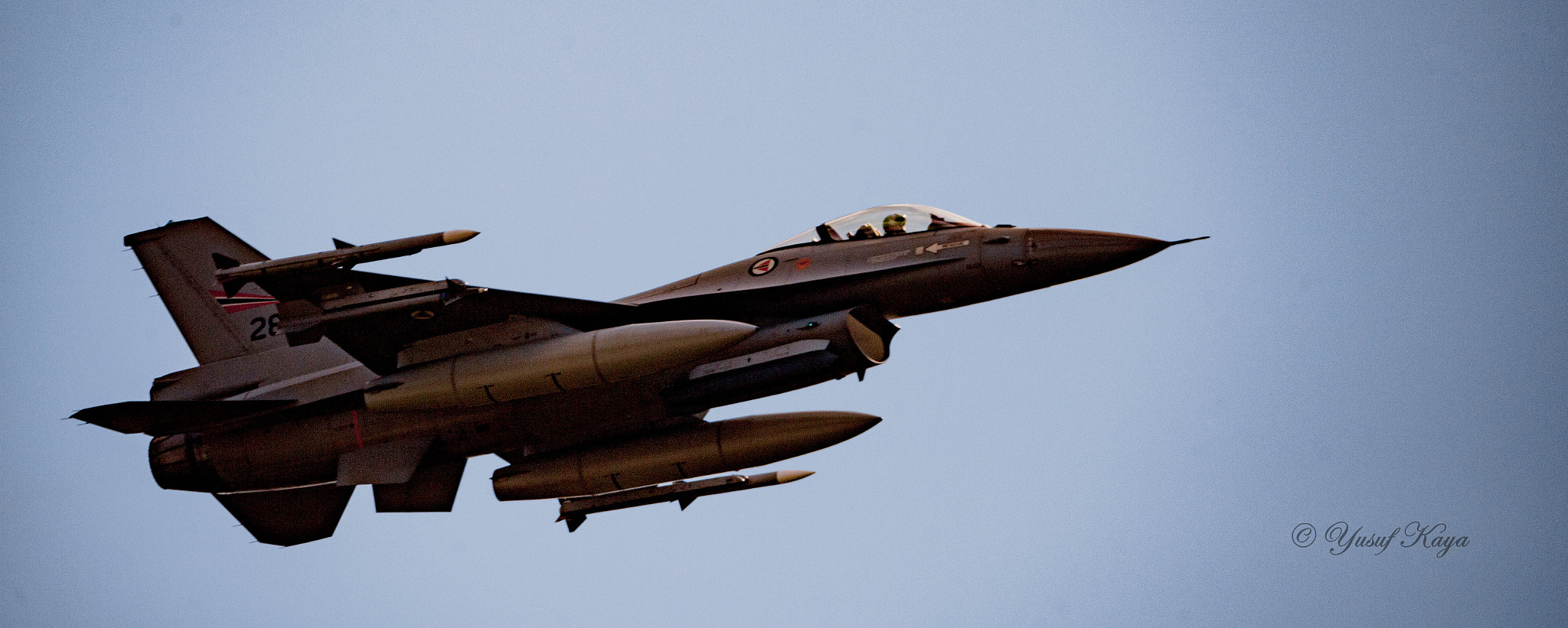 150-600mm F5-6.3 DG OS HSM | Contemporary 015 sample photo. F16 photography