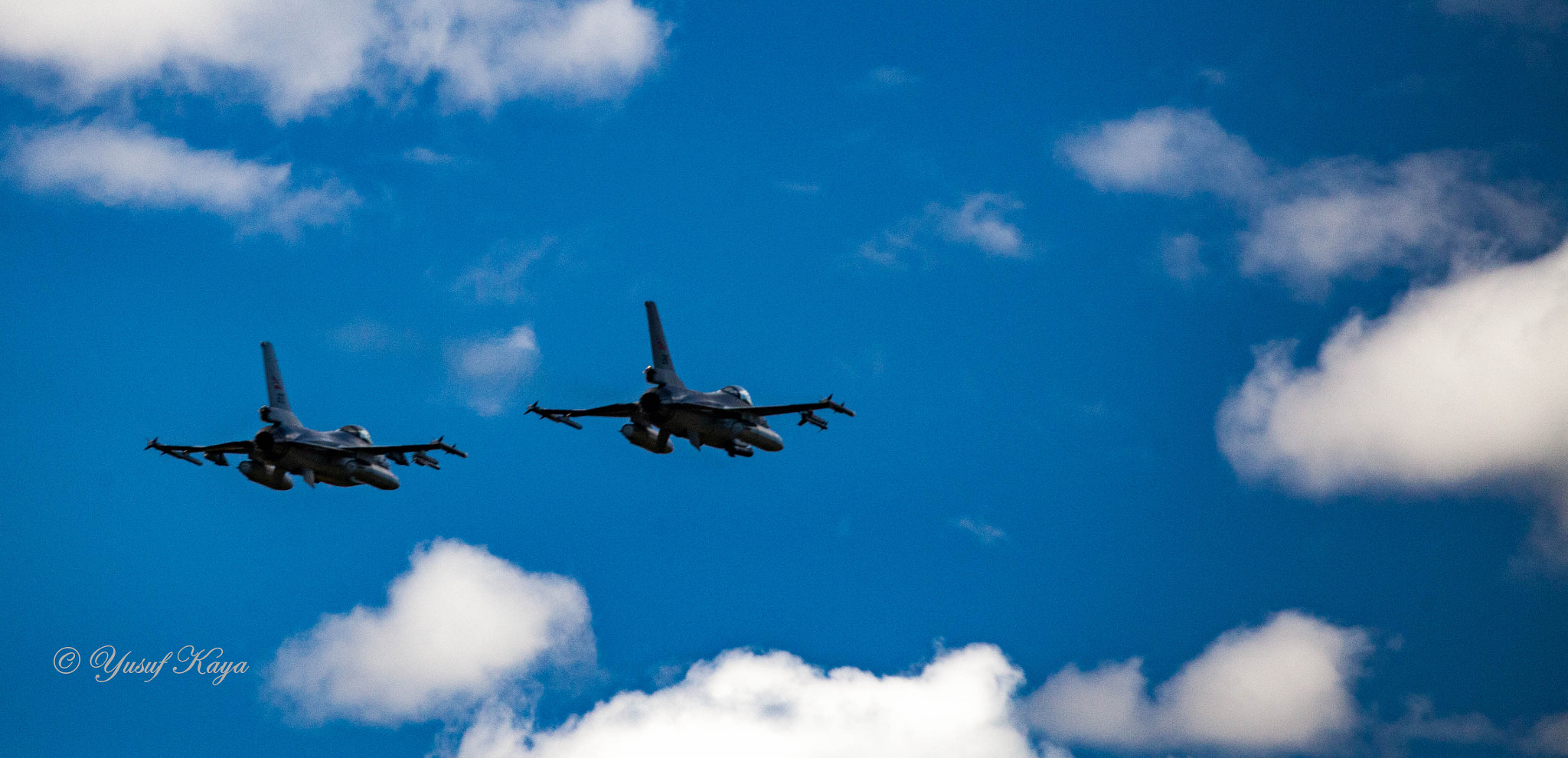 150-600mm F5-6.3 DG OS HSM | Contemporary 015 sample photo. F16 photography