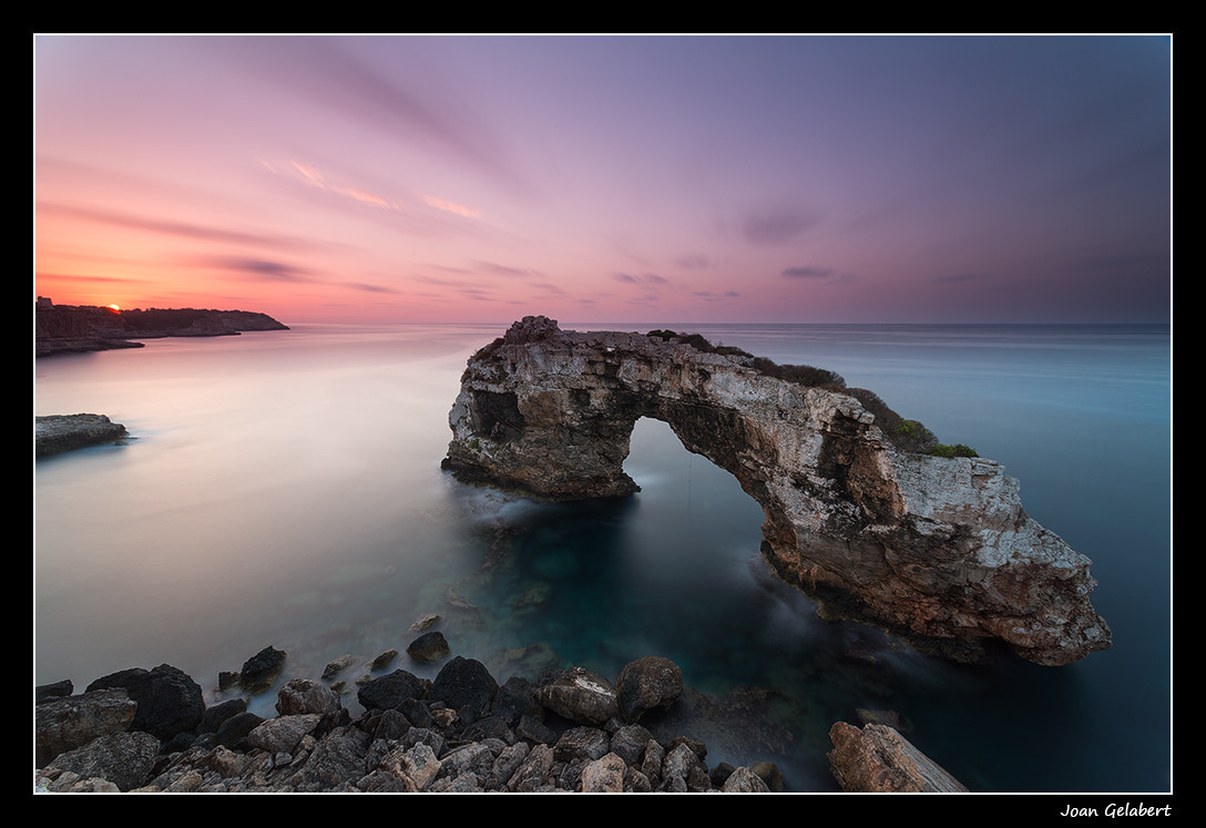 Nikon D800 + Nikon AF Nikkor 14mm F2.8D ED sample photo. 2016-08-28_07.17.30.jpg photography