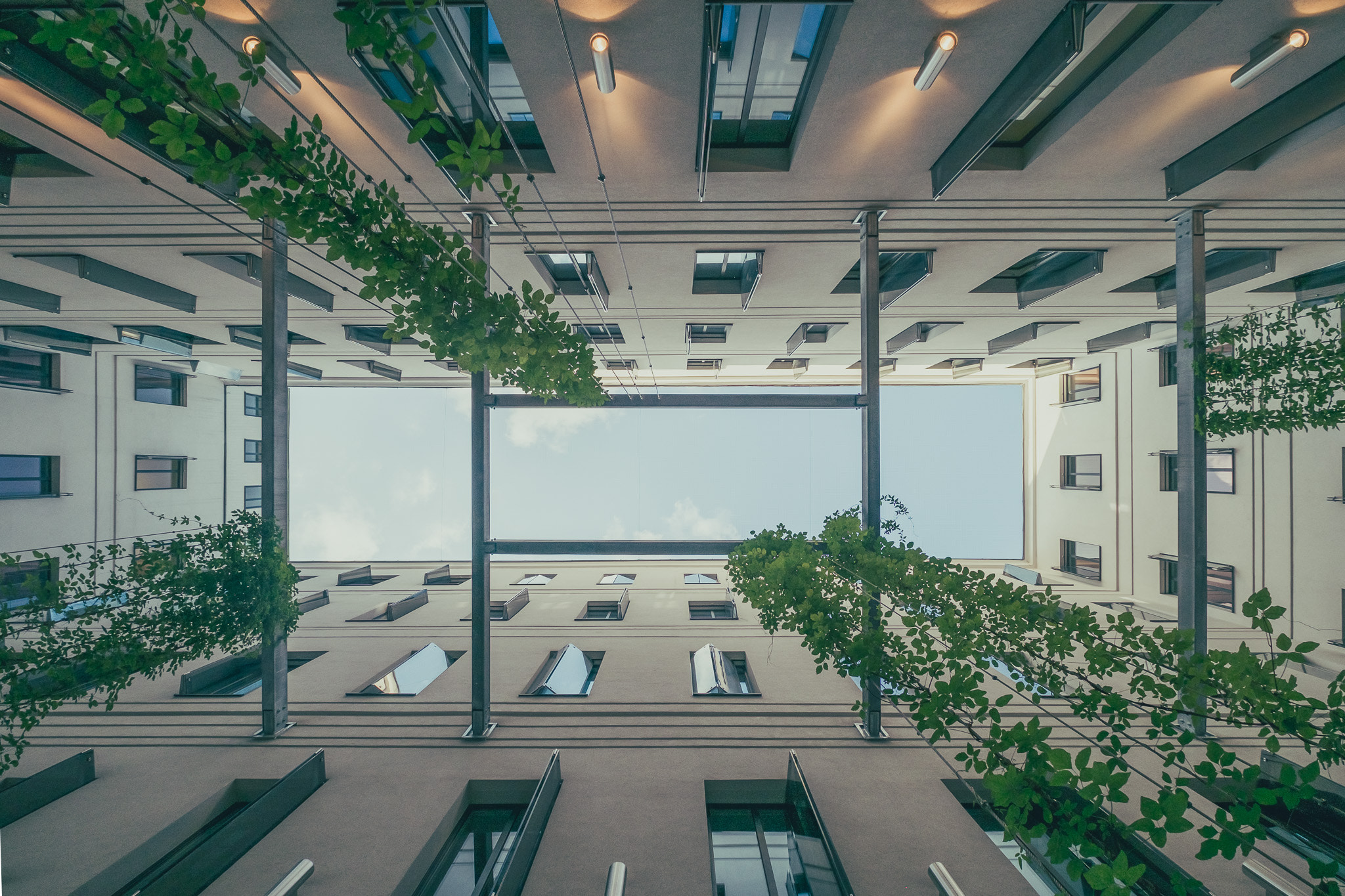 Fujifilm XF 10-24mm F4 R OIS sample photo. Plants in the city :) photography