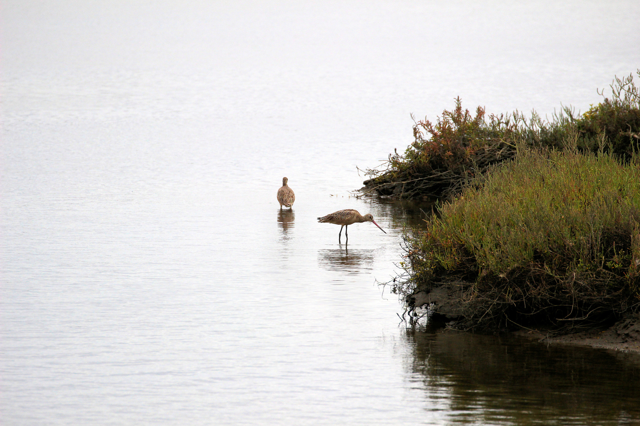Canon EOS 100D (EOS Rebel SL1 / EOS Kiss X7) sample photo. Tranquility. photography