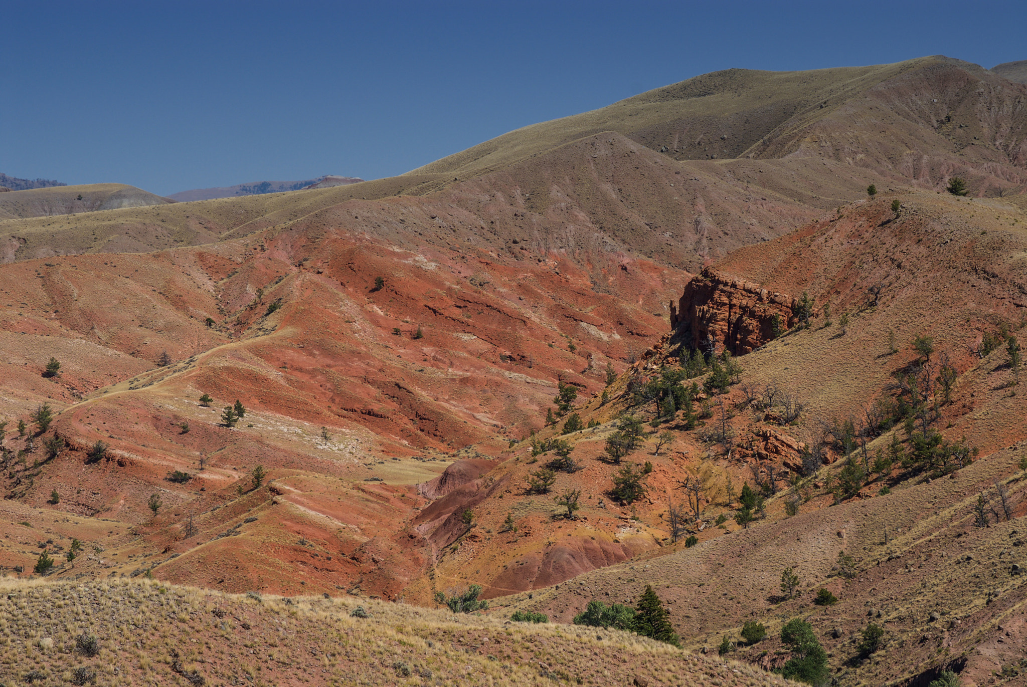 Nikon D200 sample photo. High country desert photography