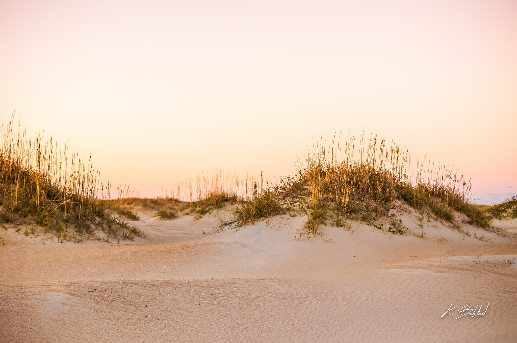 Sony SLT-A55 (SLT-A55V) + Sony DT 35mm F1.8 SAM sample photo. Outer banks dunes photography