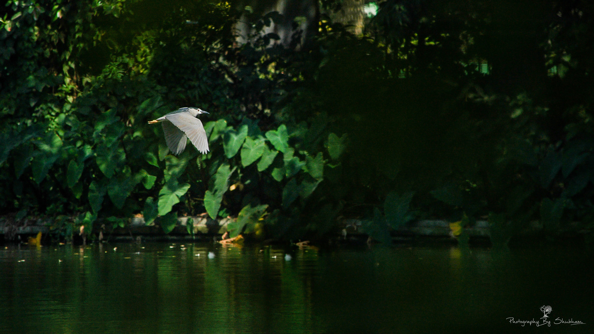 Nikon D70s sample photo. Nature's blessings photography