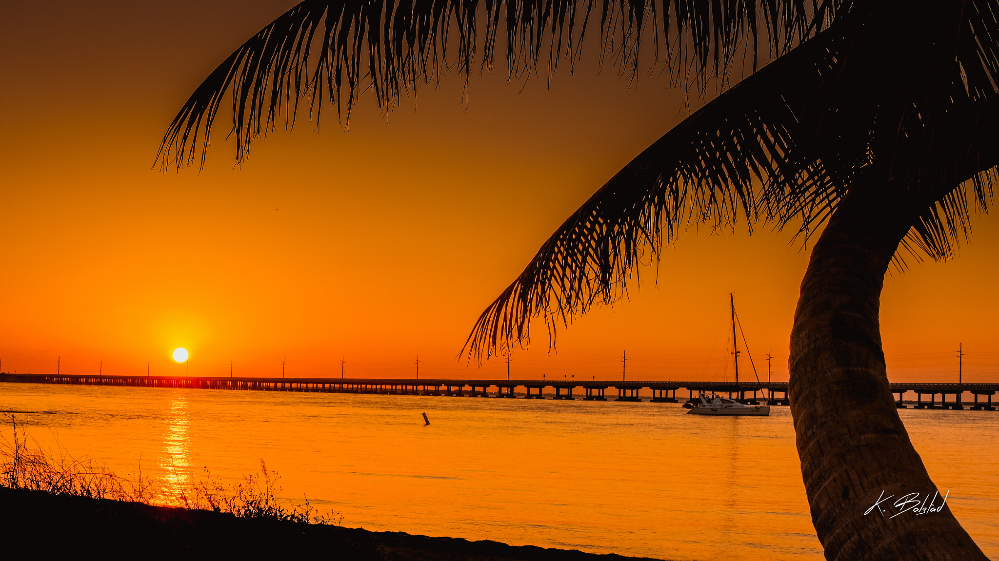 Sony SLT-A55 (SLT-A55V) + Sony DT 35mm F1.8 SAM sample photo. Life in the keys photography