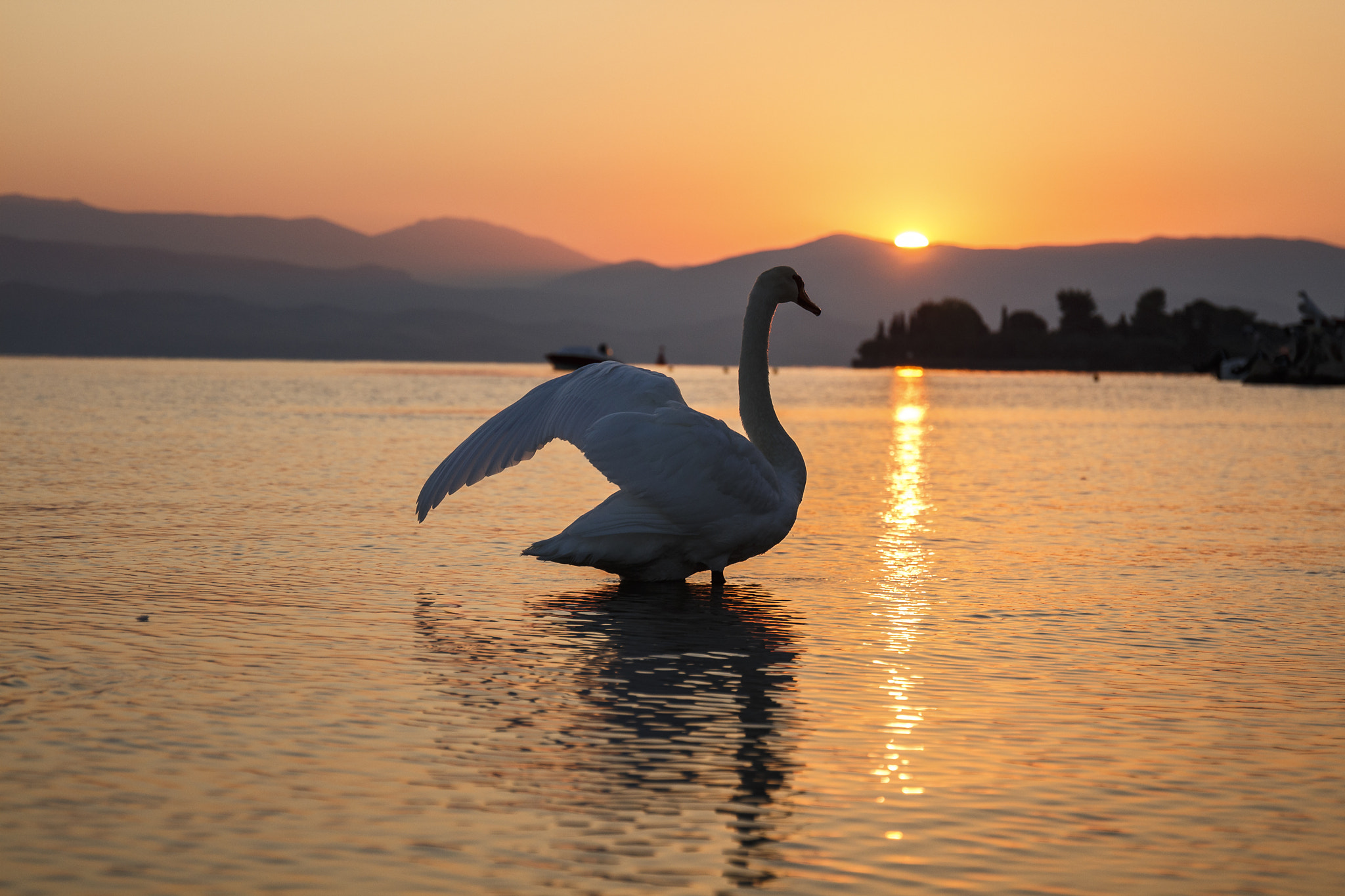 Canon EF 24-70mm F4L IS USM sample photo. Meeting the new day photography