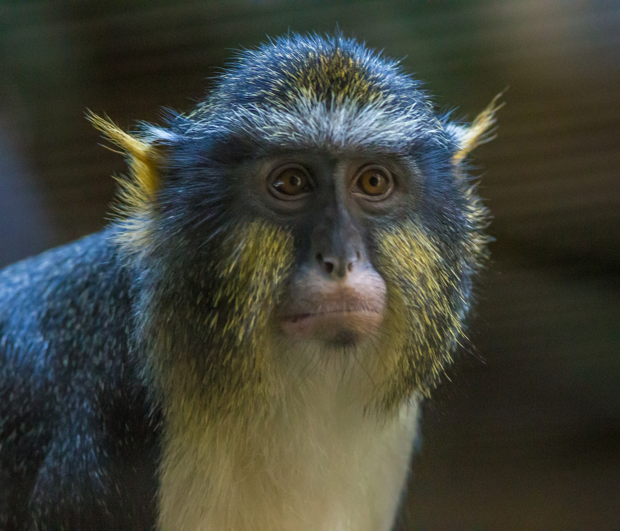 Canon EOS 6D + Canon EF 400mm F5.6L USM sample photo. 001-2.jpg photography