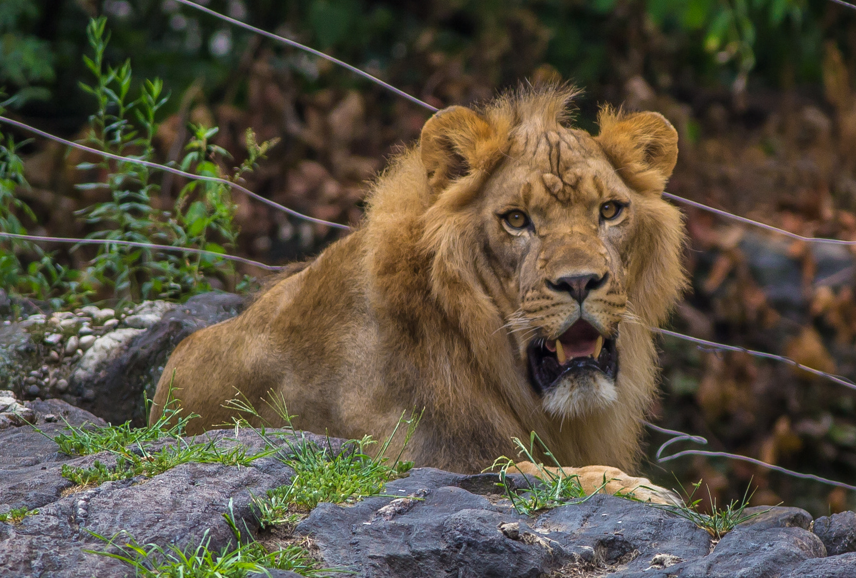Canon EOS 6D + Canon EF 400mm F5.6L USM sample photo. 008-2.jpg photography