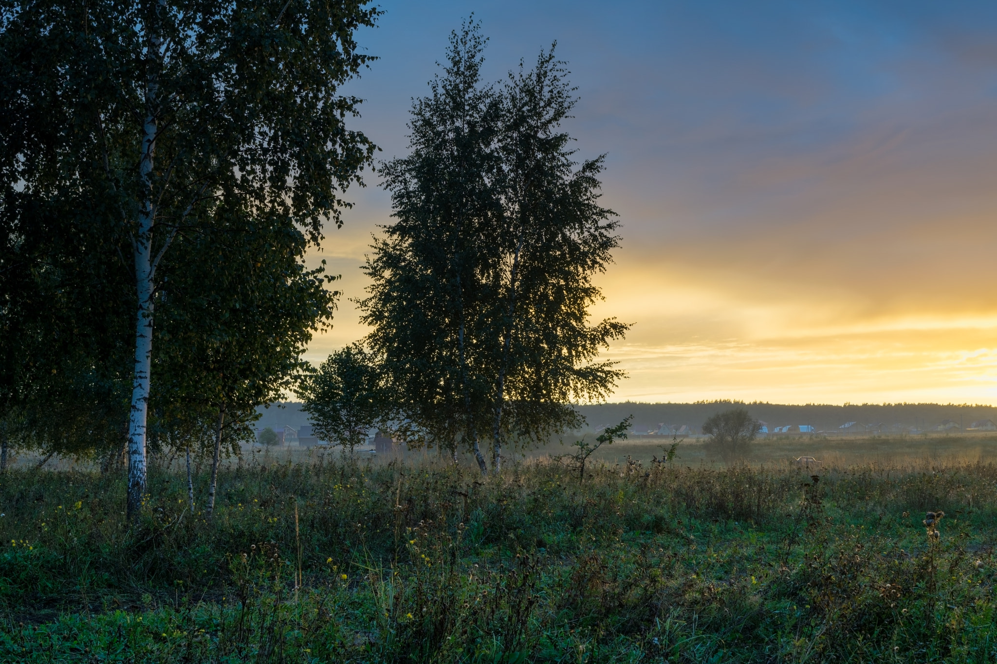 Sony FE 28mm F2 sample photo. From summer to fall photography