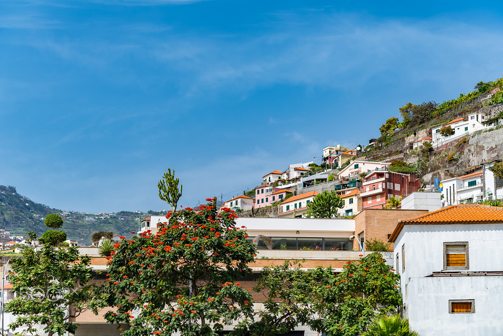 Nikon AF-S Micro-Nikkor 60mm F2.8G ED sample photo. Atlantic ocean island view valley in madeira portugal photography