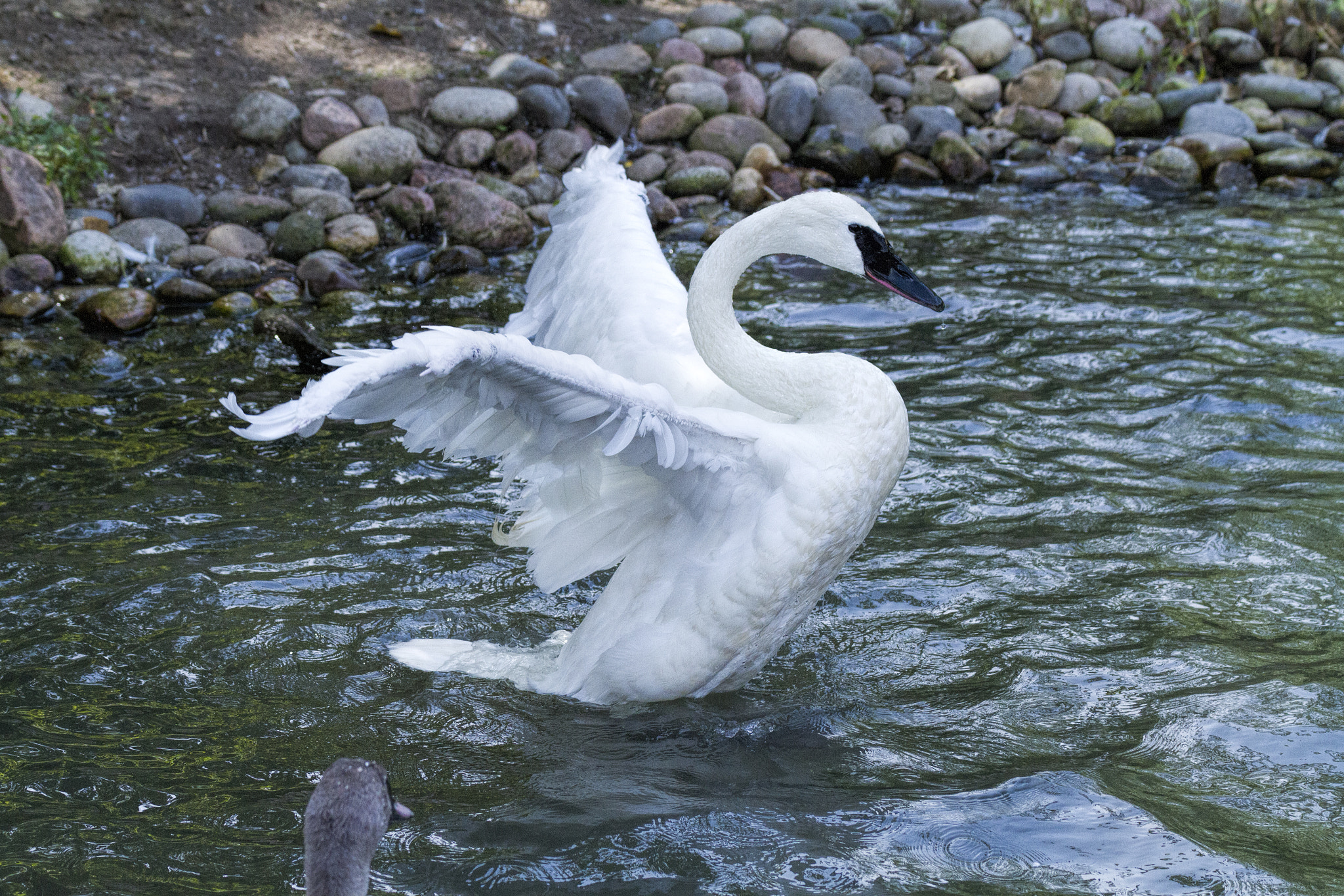 Tamron SP 35mm F1.8 Di VC USD sample photo. Img photography
