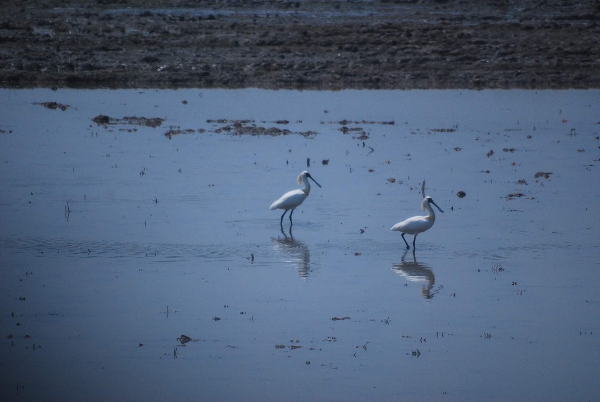 Sigma 70-300mm F4-5.6 APO DG Macro sample photo