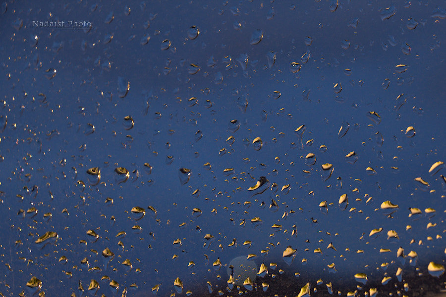Canon EOS 700D (EOS Rebel T5i / EOS Kiss X7i) sample photo. Pluie photography