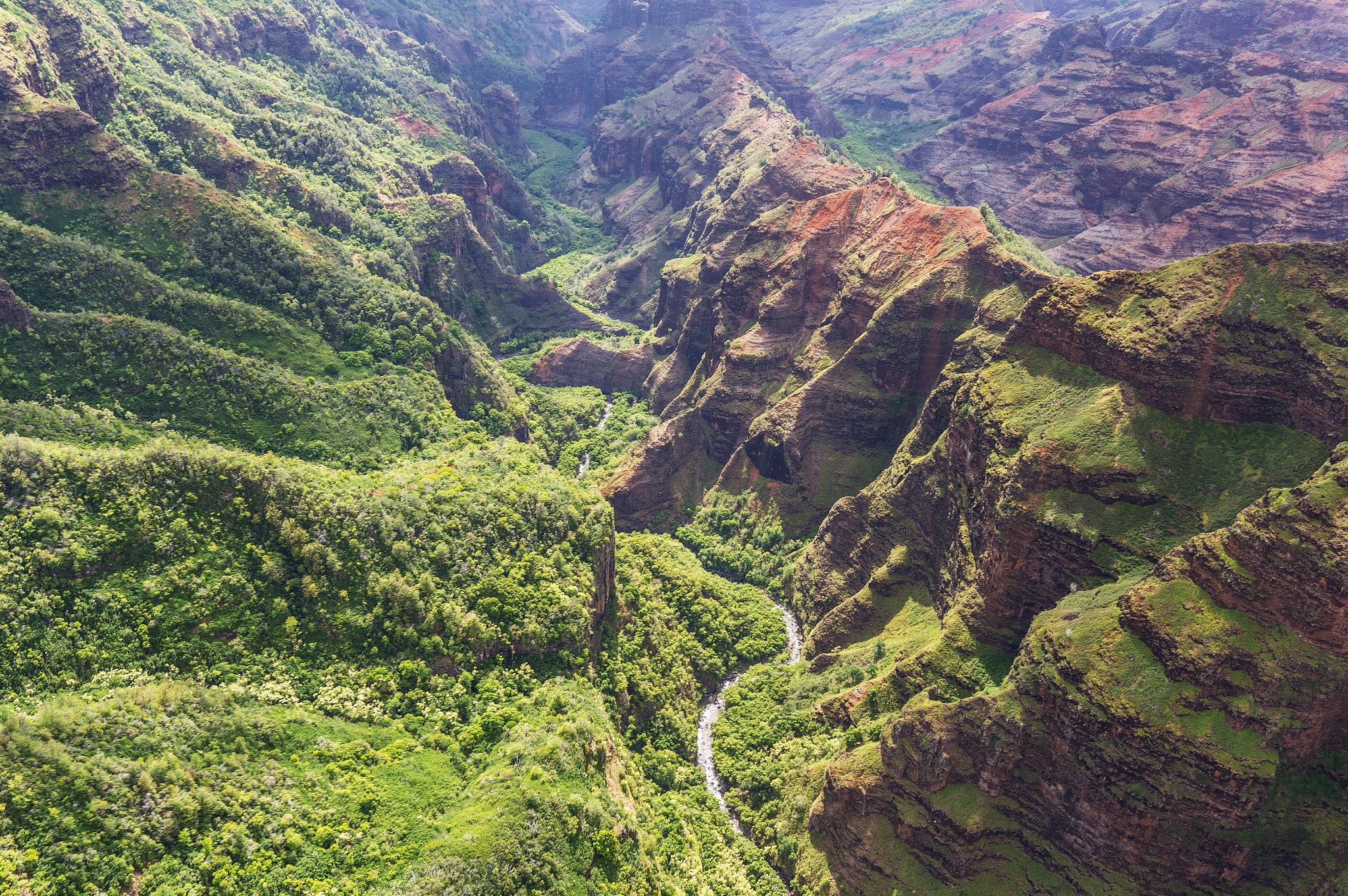 Sony Alpha NEX-5N + Sigma 19mm F2.8 EX DN sample photo. Kauai photography