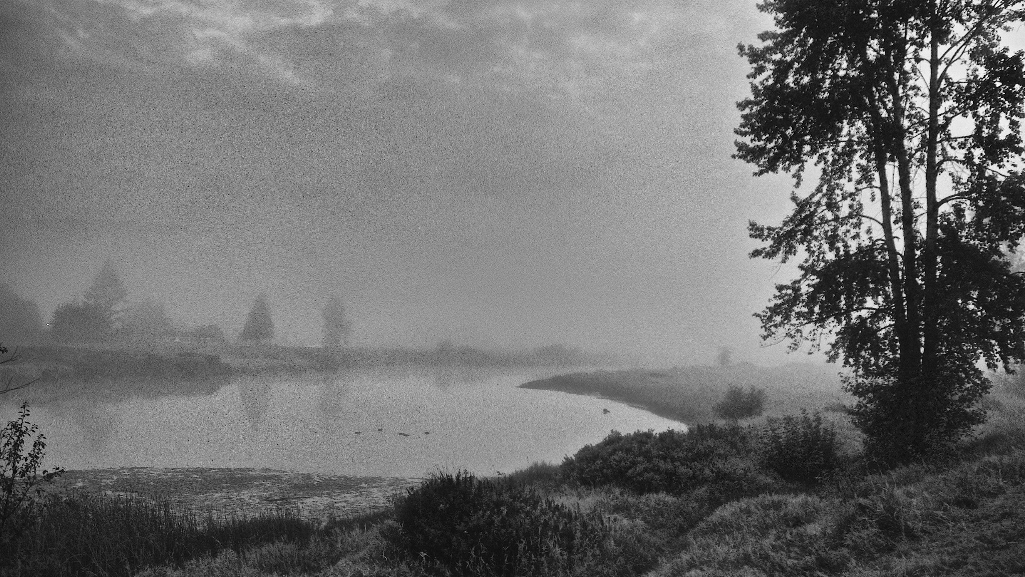 Pentax smc DA 16-45mm F4 ED AL sample photo. Misty morn photography